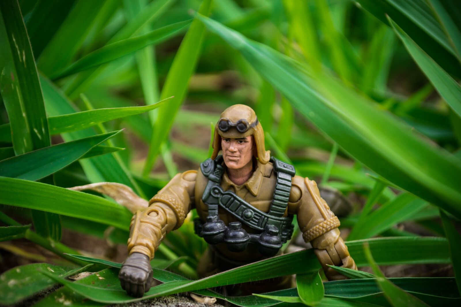 Nikon D3100 sample photo. Toy, joe, action figure photography