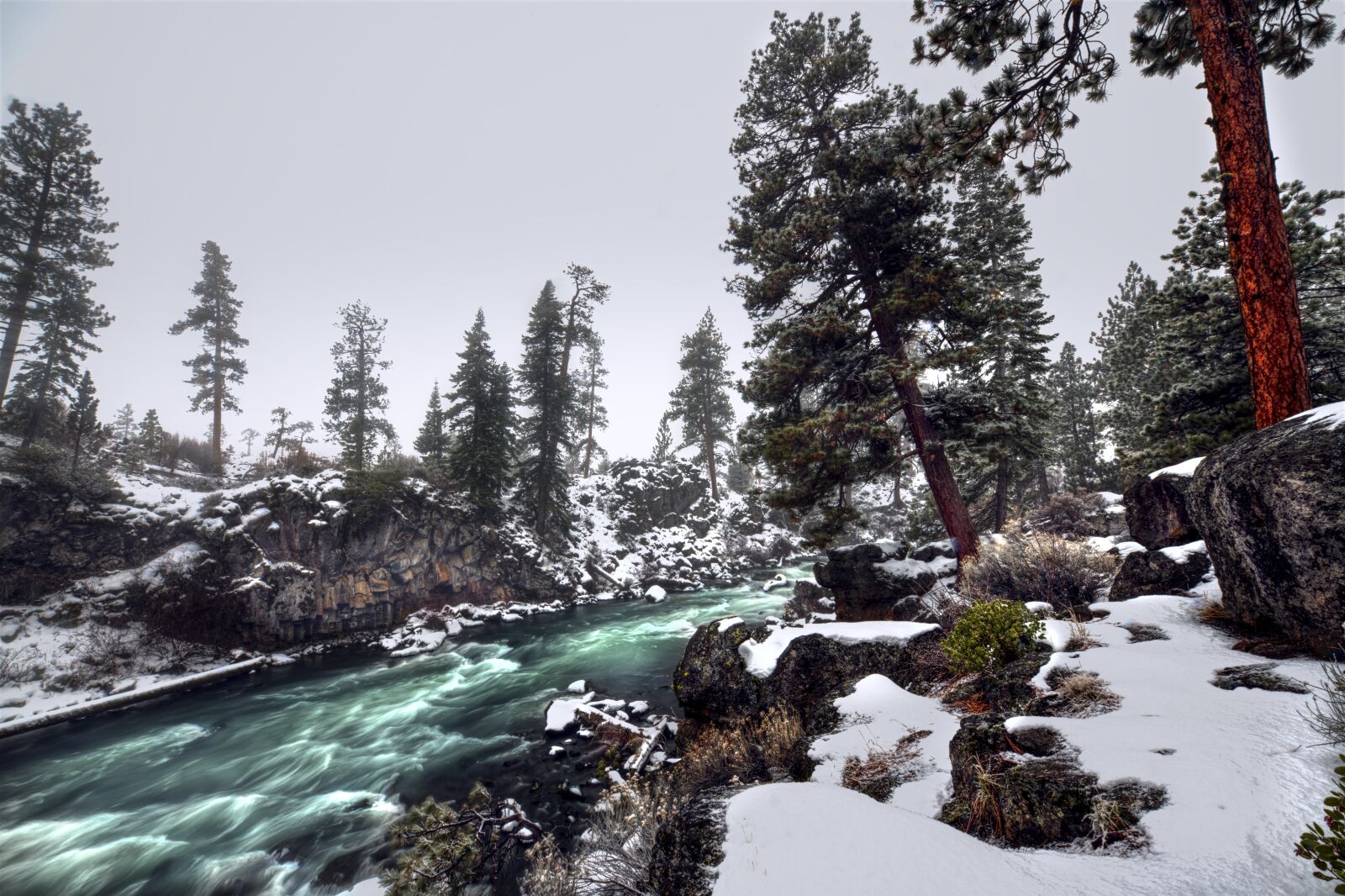 Nikon D850 sample photo. Oregon, bend, river photography