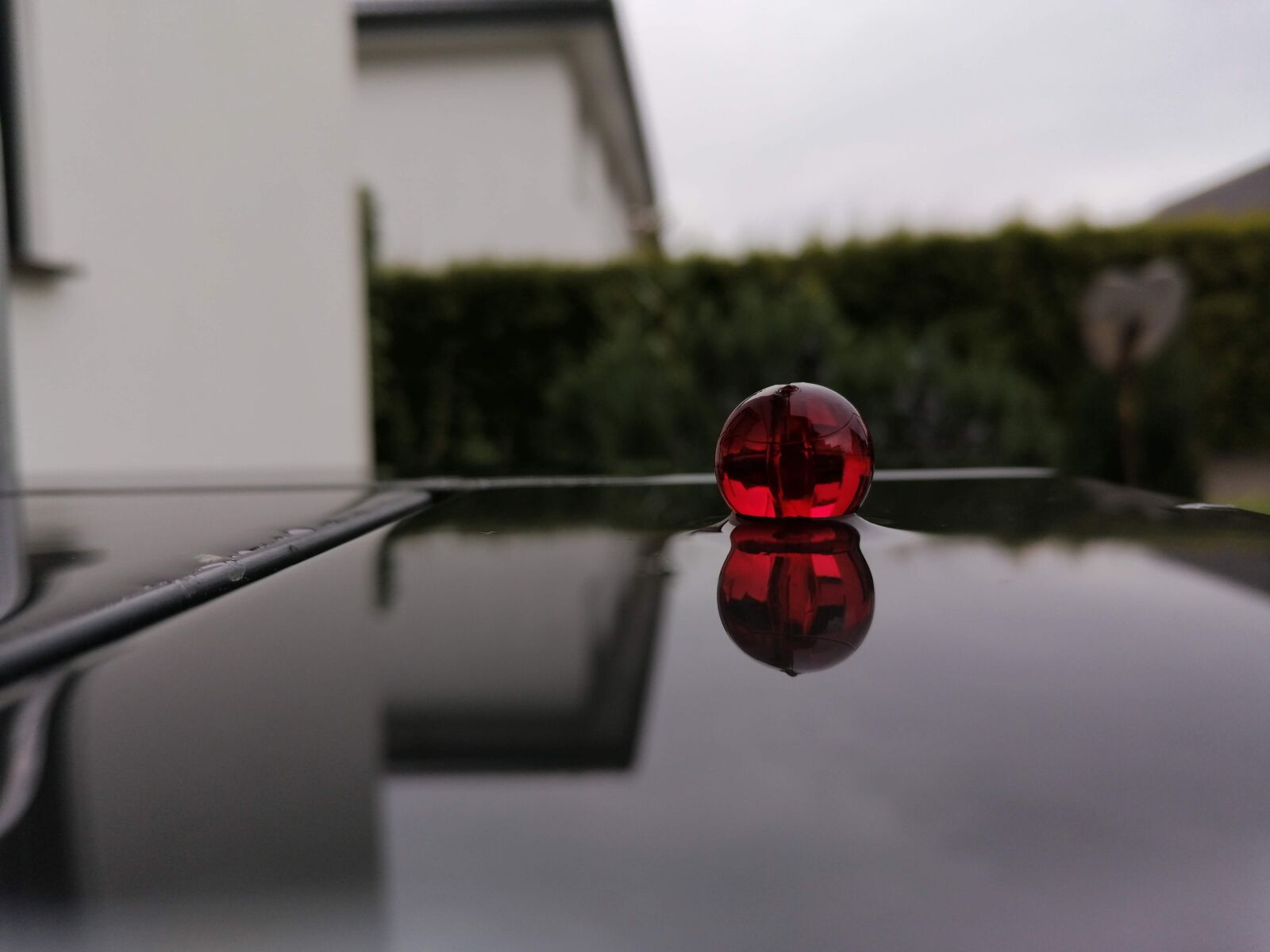 HUAWEI P30 LITE sample photo. Murmel, wasser, water photography