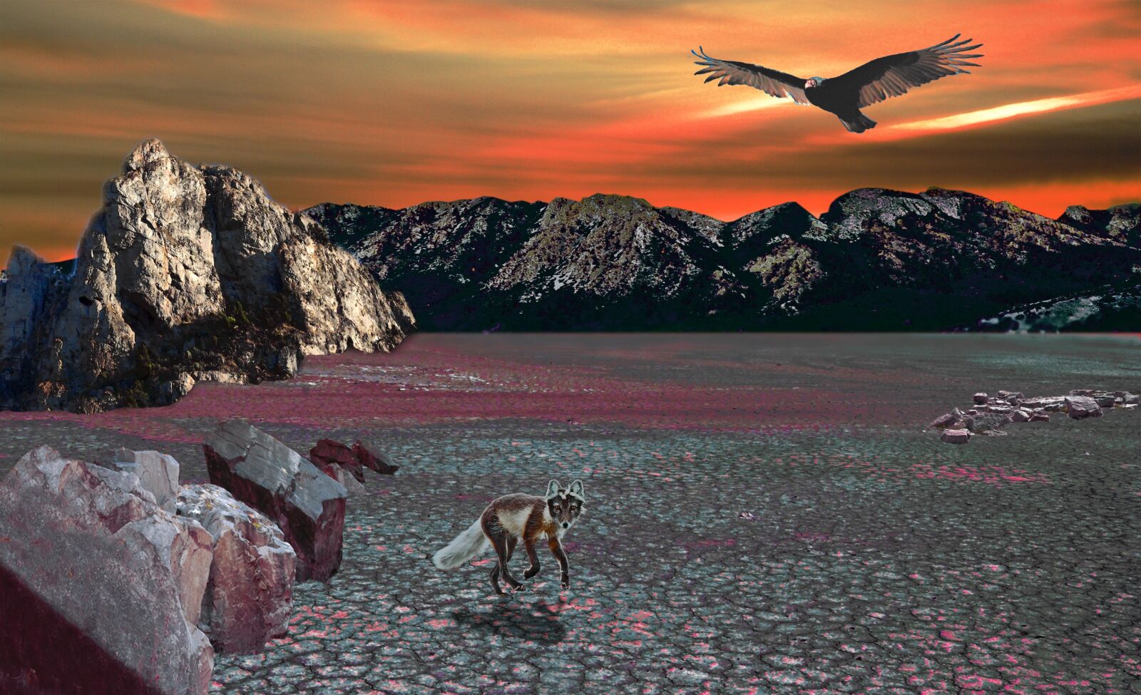 Nikon D60 sample photo. Digital effect, desert, fantasy photography