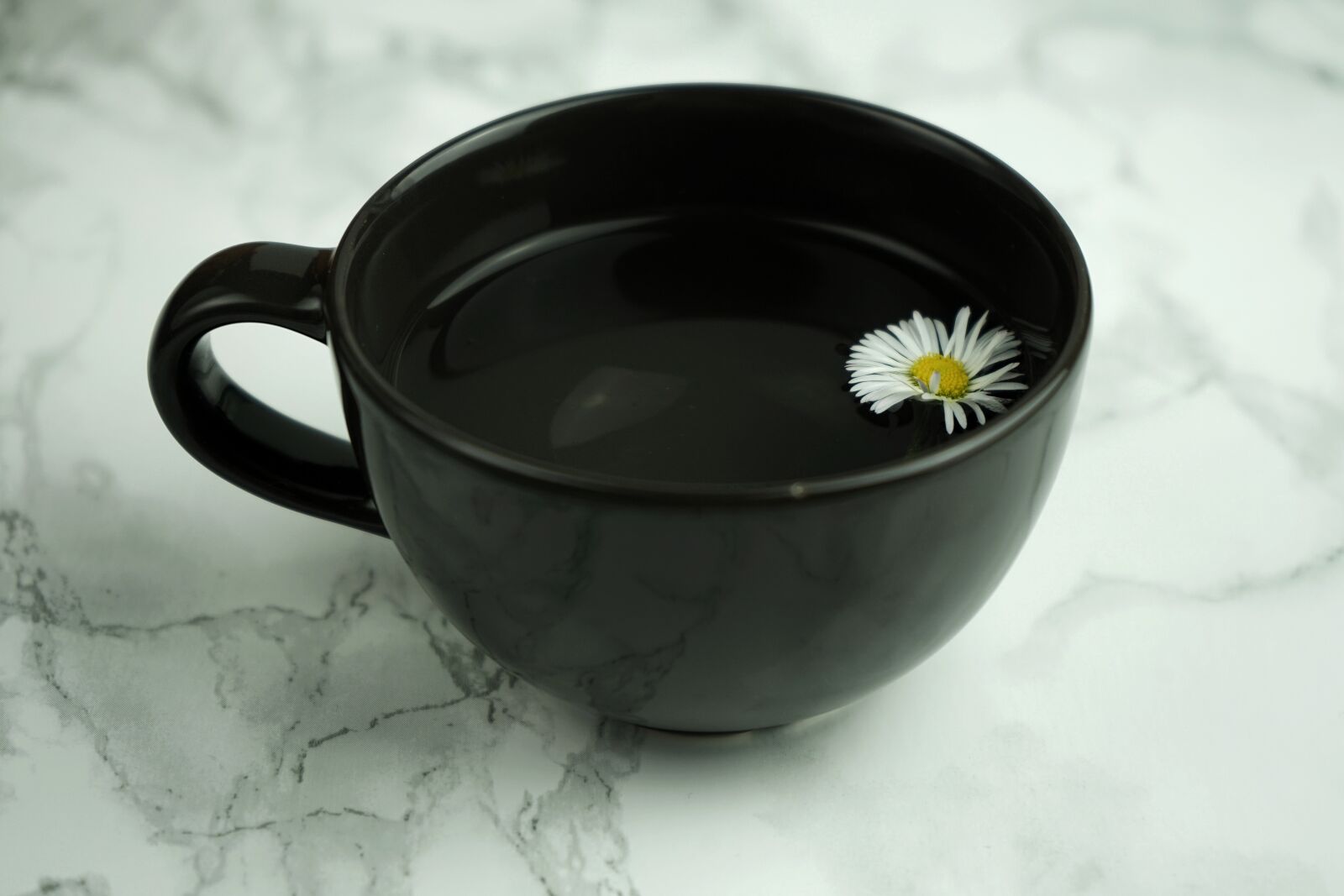 Sony a7 II + Sony FE 28-70mm F3.5-5.6 OSS sample photo. Daisy, cup, flower photography