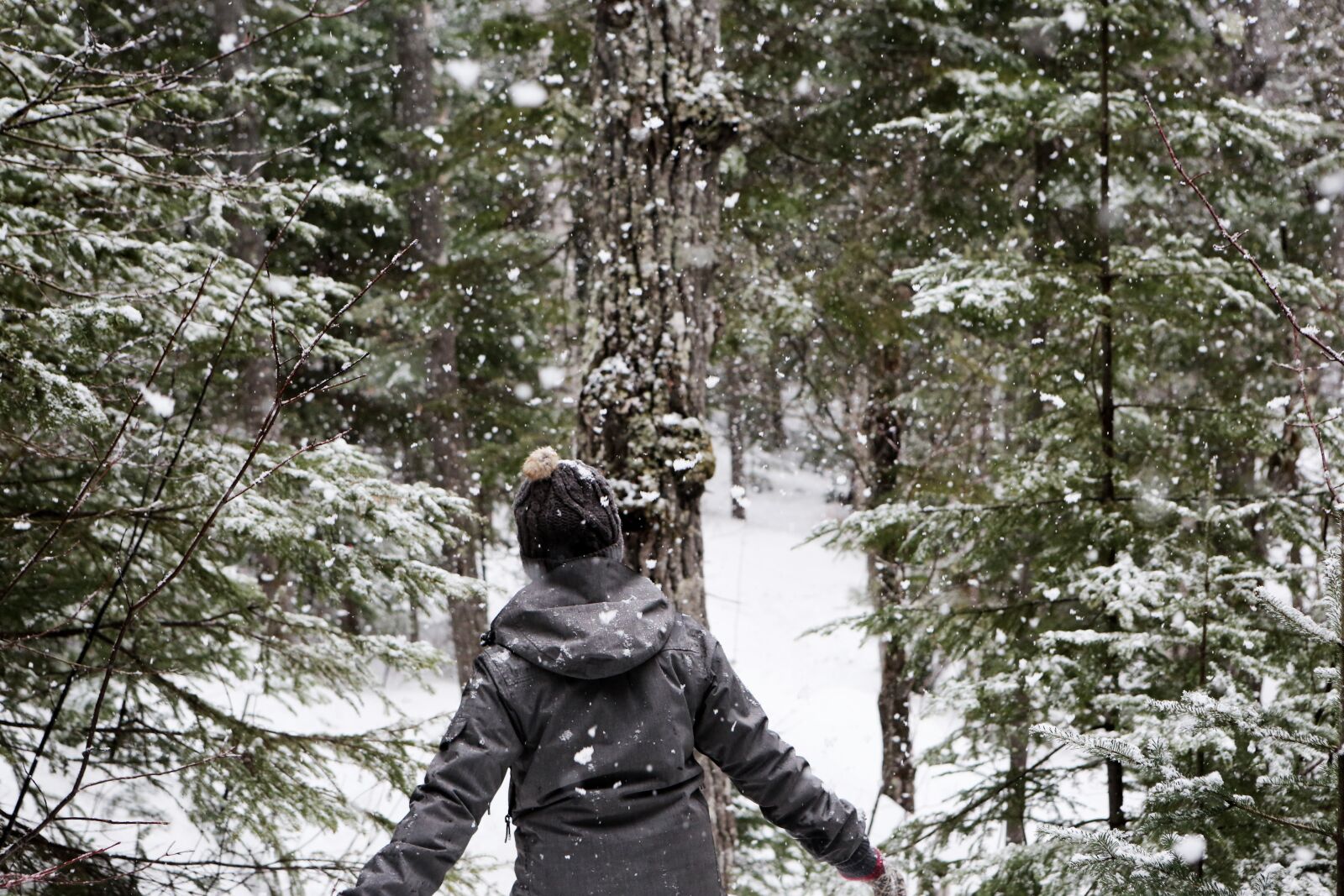 Canon EF 24-70mm F2.8L USM sample photo. Snow, snowing, cold photography