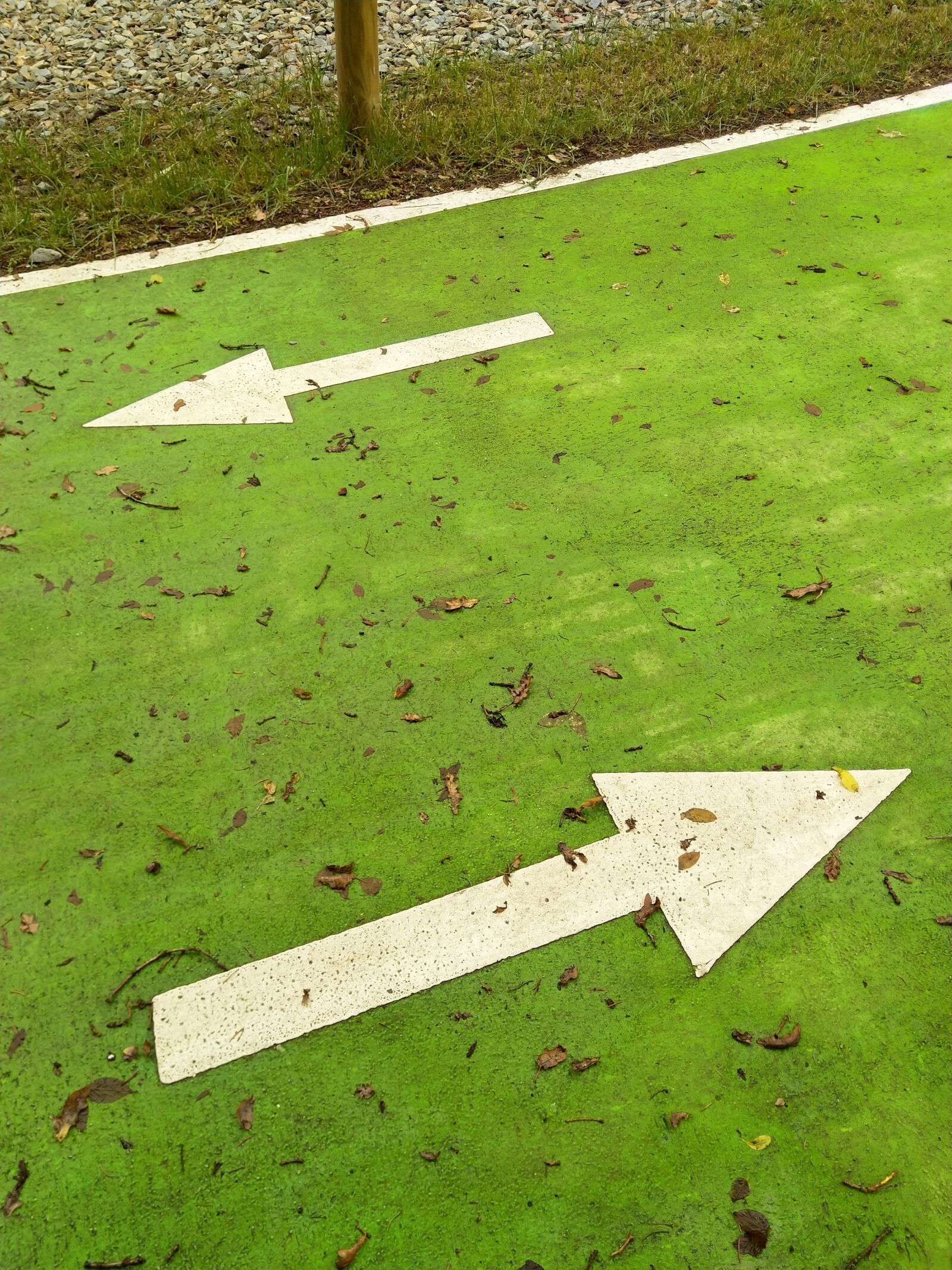 HMD Global Nokia 7 plus sample photo. Two arrows, green road photography
