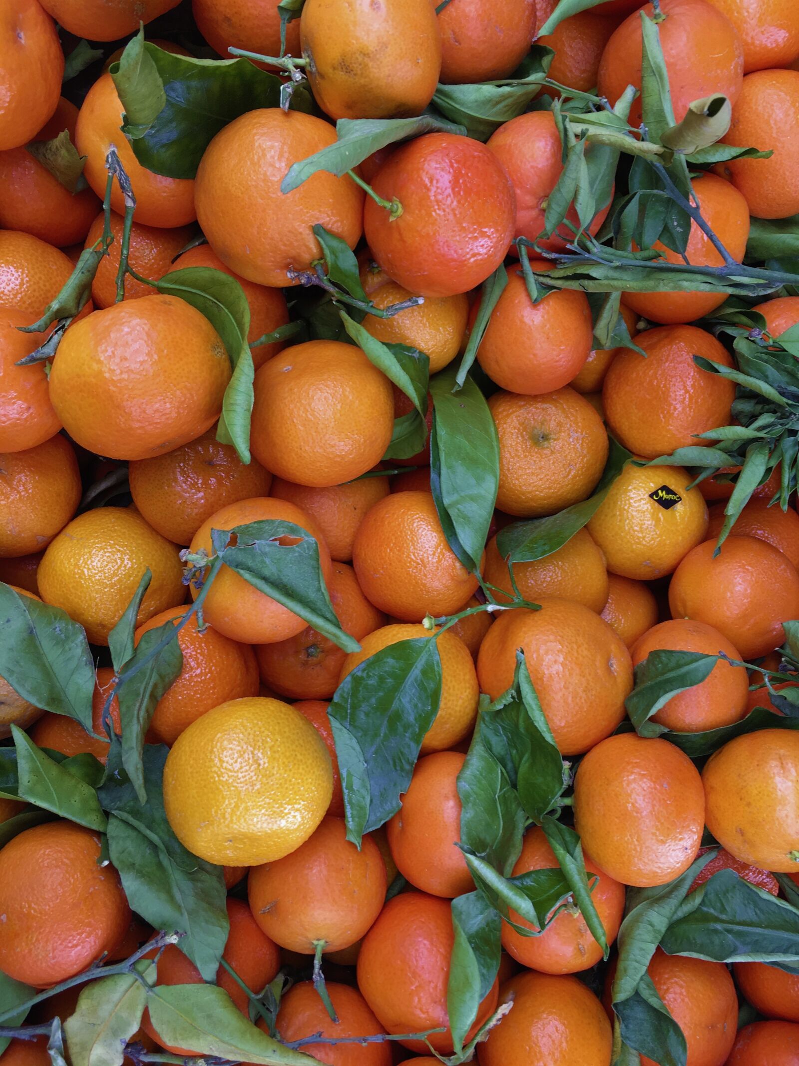 iPhone SE back camera 4.15mm f/2.2 sample photo. Clementines, fruit, vitamins photography