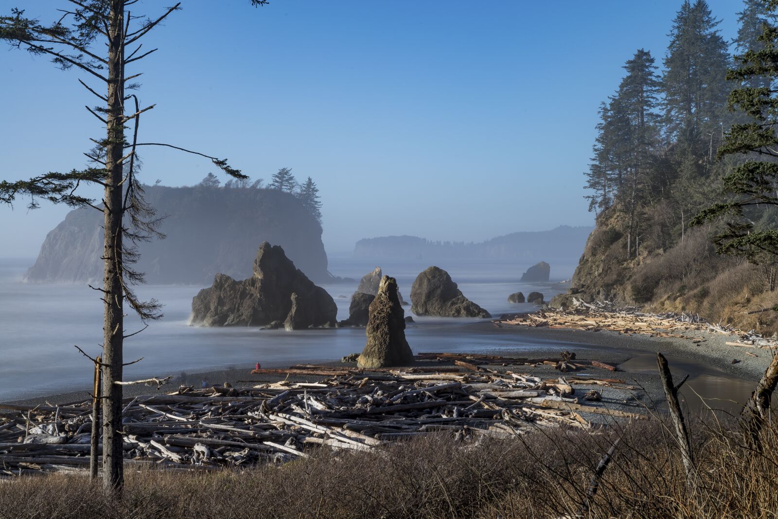 Nikon D610 sample photo. Beach, pacific coastline, ocean photography