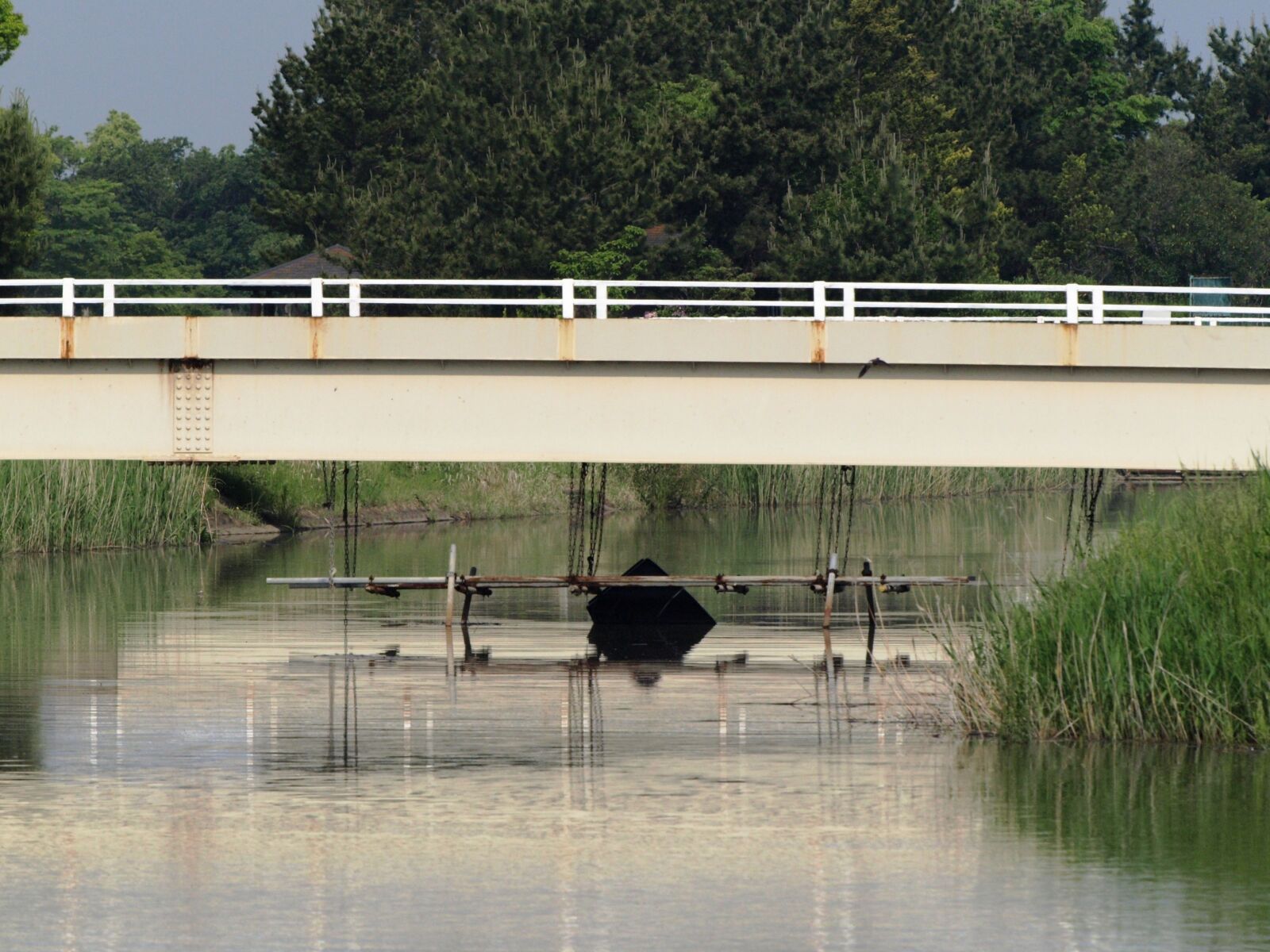Olympus E-510 (EVOLT E-510) sample photo. Natural, landscape, bridge photography
