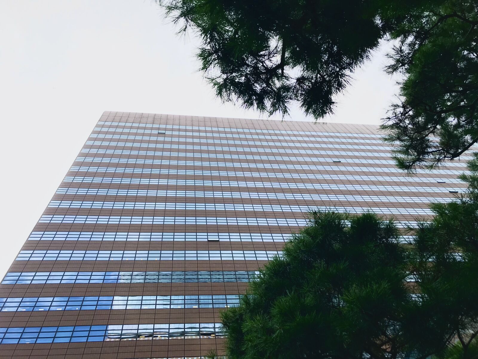 iPhone 7 back camera 3.99mm f/1.8 sample photo. Skyscraper, building, city photography