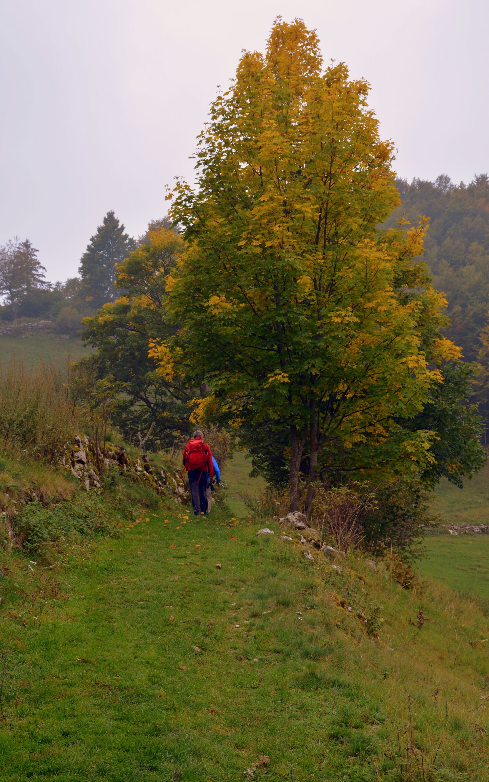 Nikon D7100 sample photo. Excursion, autumn, trail photography
