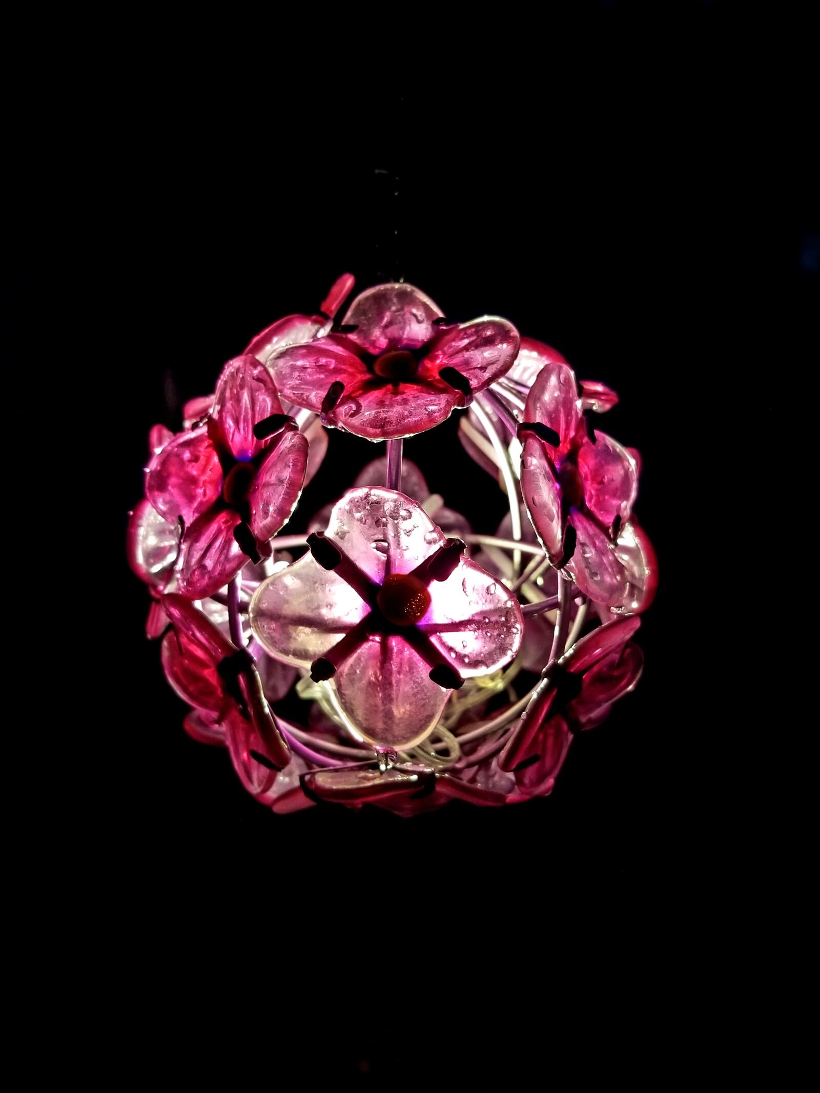 Samsung Galaxy S8+ sample photo. Night, light, flower photography