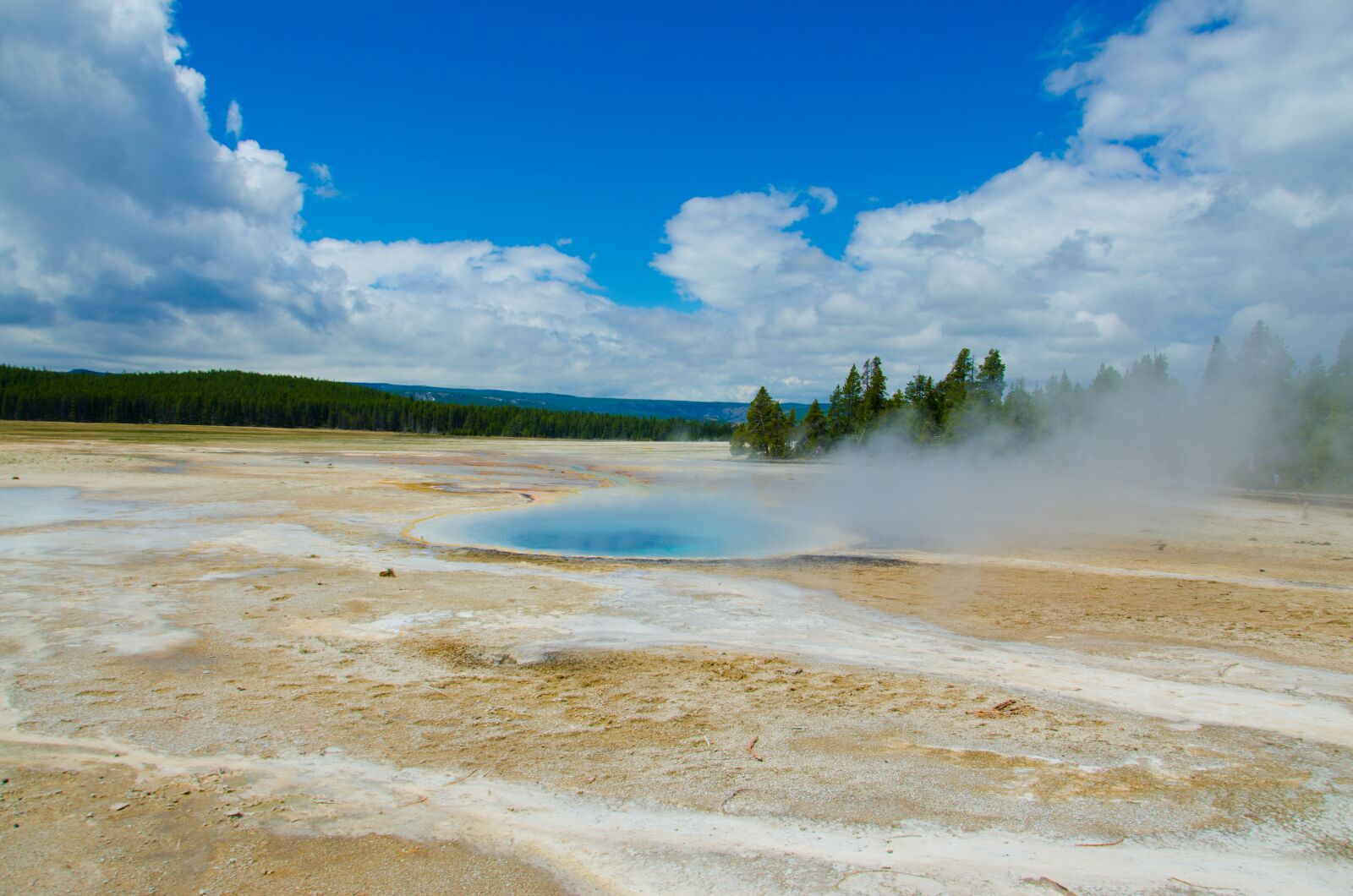 Nikon D7000 sample photo. Yellow stone, scenic, nature photography