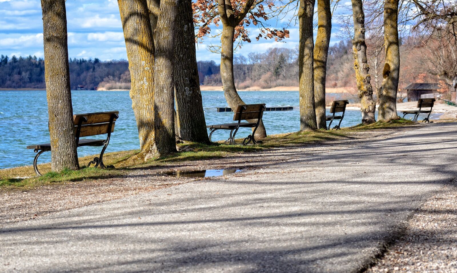 Nikon D7100 sample photo. Bench, bank, water photography