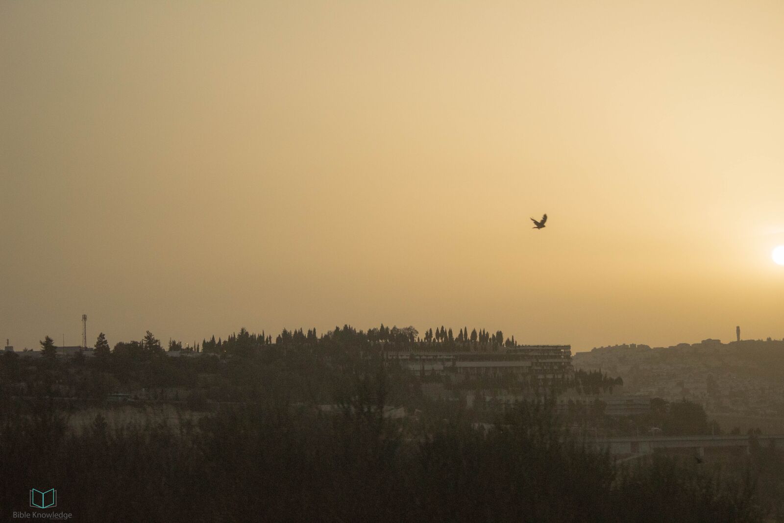 Canon EOS 1300D (EOS Rebel T6 / EOS Kiss X80) sample photo. Israel, land, landscape photography