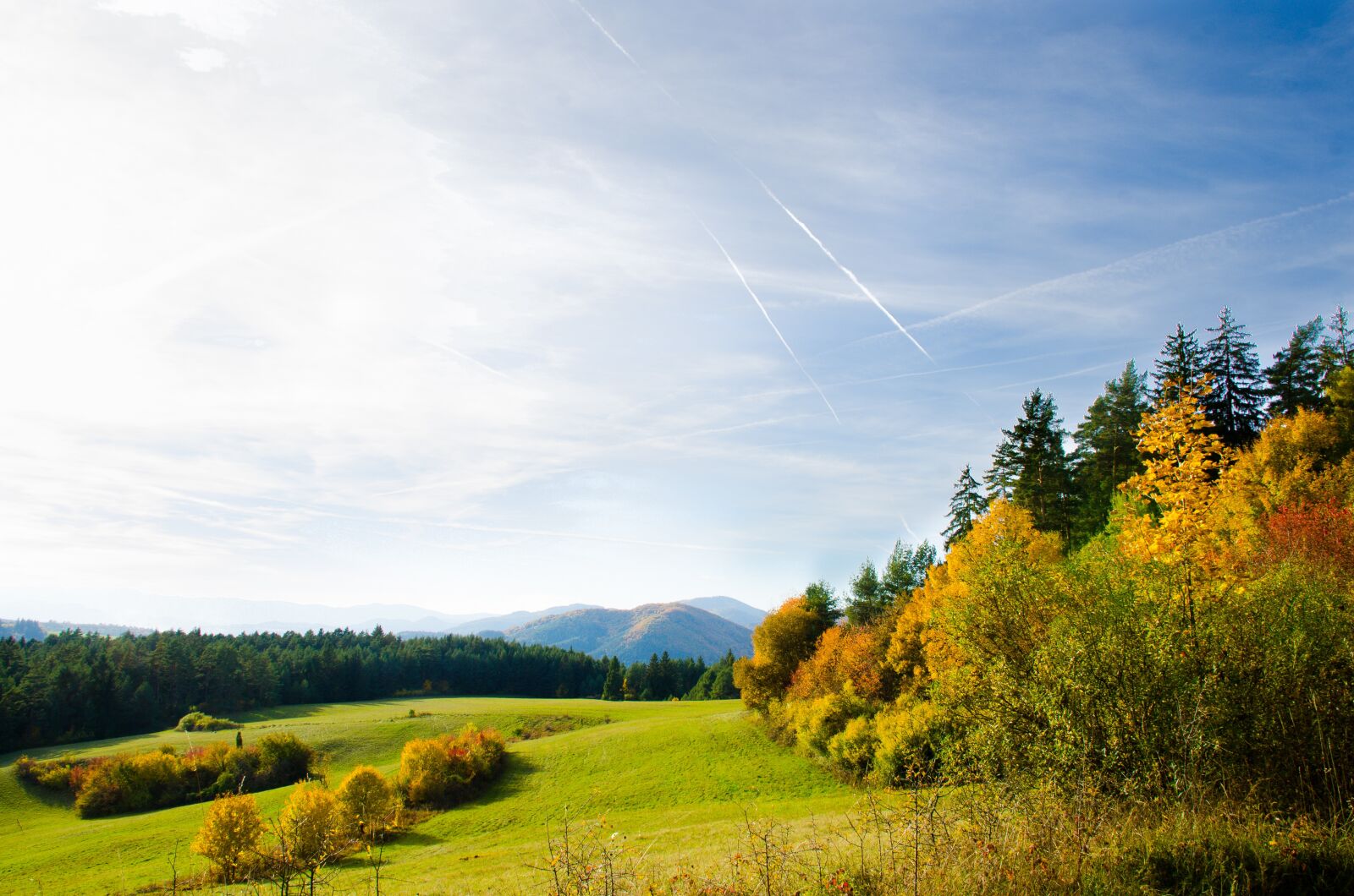 Nikon D7000 sample photo. Country, nature, trees photography