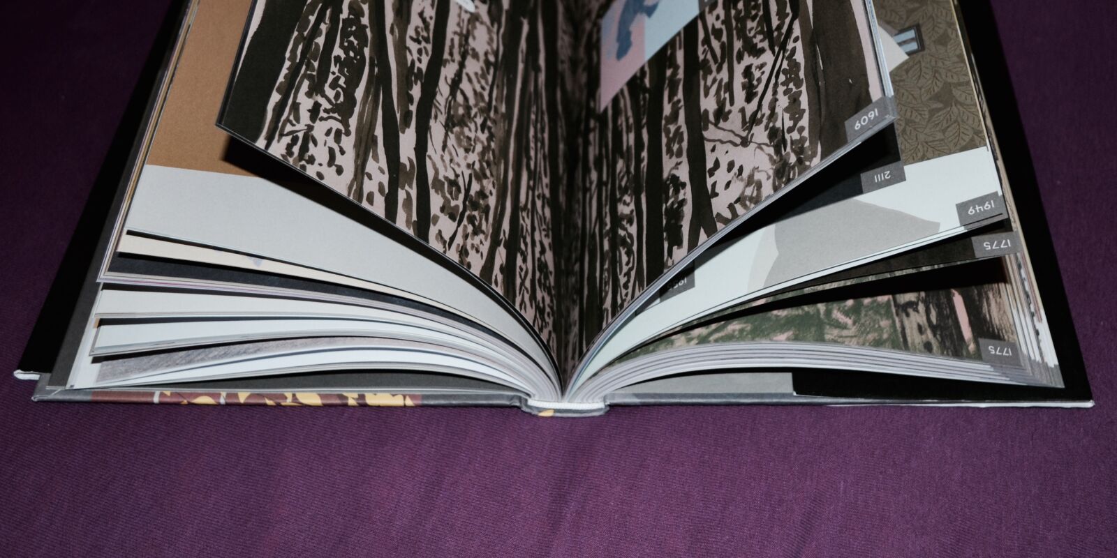 Nikon D3100 sample photo. Book, night, pages, violet photography