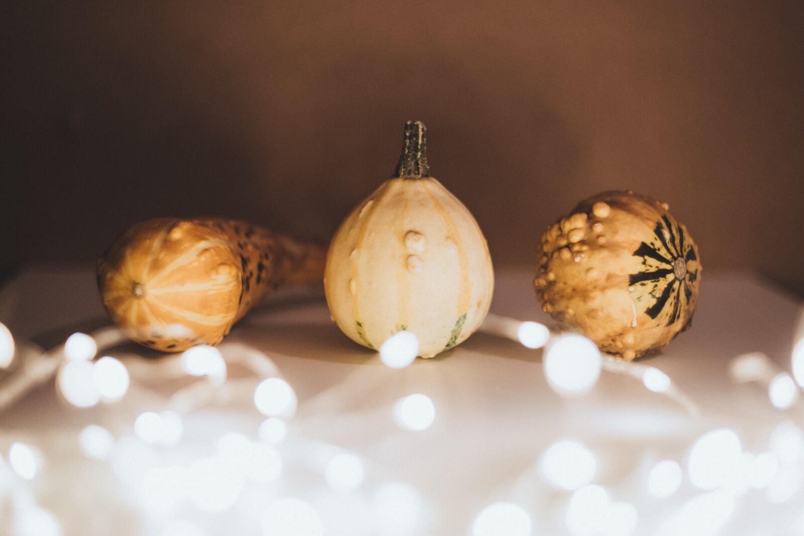 Canon EOS 6D sample photo. Food, drinks, autumn photography