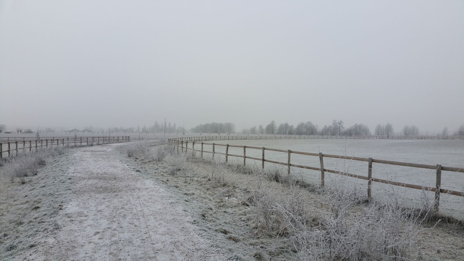 Samsung Galaxy S5 LTE-A sample photo. Winter, landscape, zwijndrecht photography