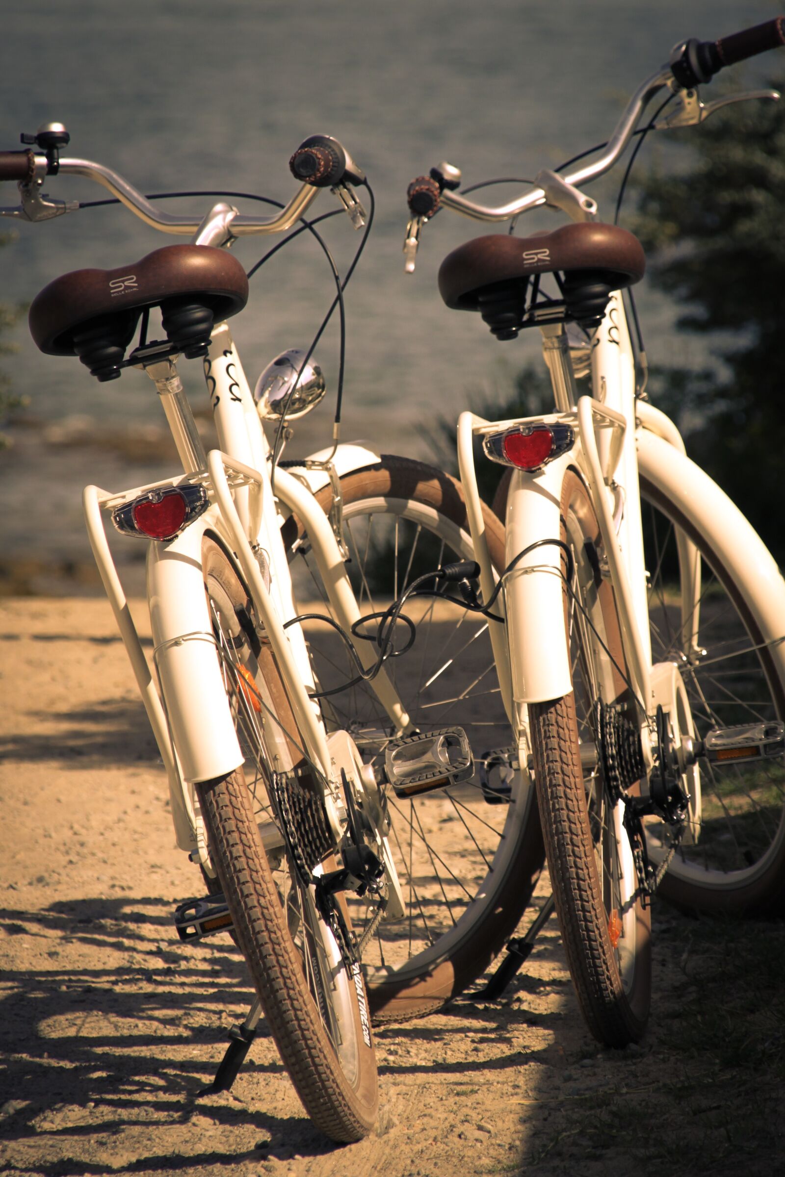 Canon EOS 500D (EOS Rebel T1i / EOS Kiss X3) + Canon TS-E 90mm F2.8 Tilt-Shift sample photo. Bike, couple, beach photography