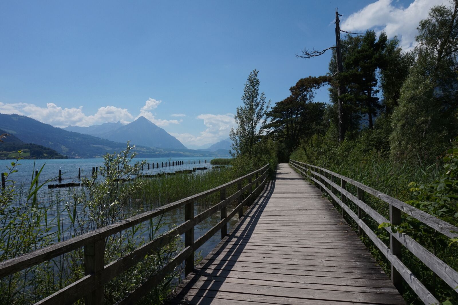 Sony Alpha a5000 (ILCE 5000) sample photo. Interlaken, switzerland, lake photography
