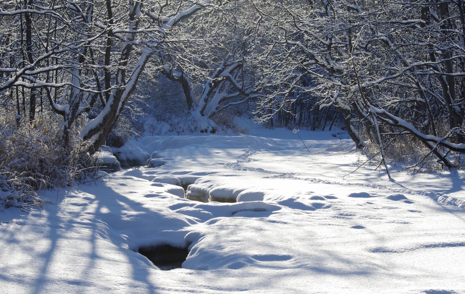 Pentax K-5 sample photo. River, back on track photography