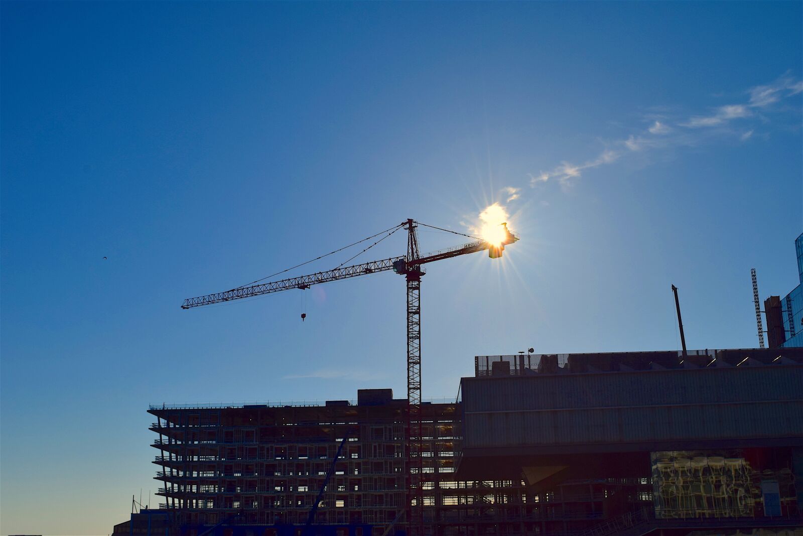 Nikon D3300 sample photo. Crane, sky, sun photography