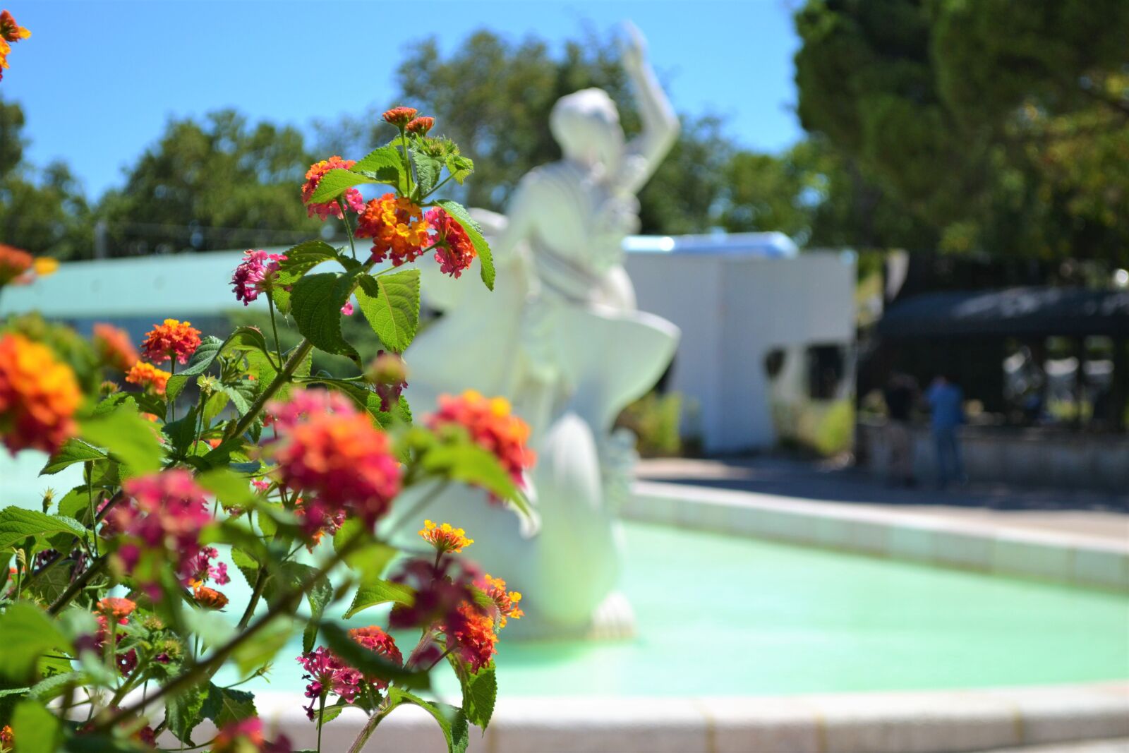 Nikon D3100 sample photo. Fountain, flowers, water photography