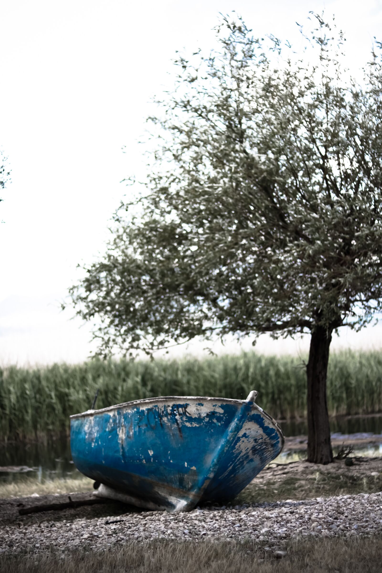 Canon EOS 750D (EOS Rebel T6i / EOS Kiss X8i) sample photo. Lake, boat, blue photography