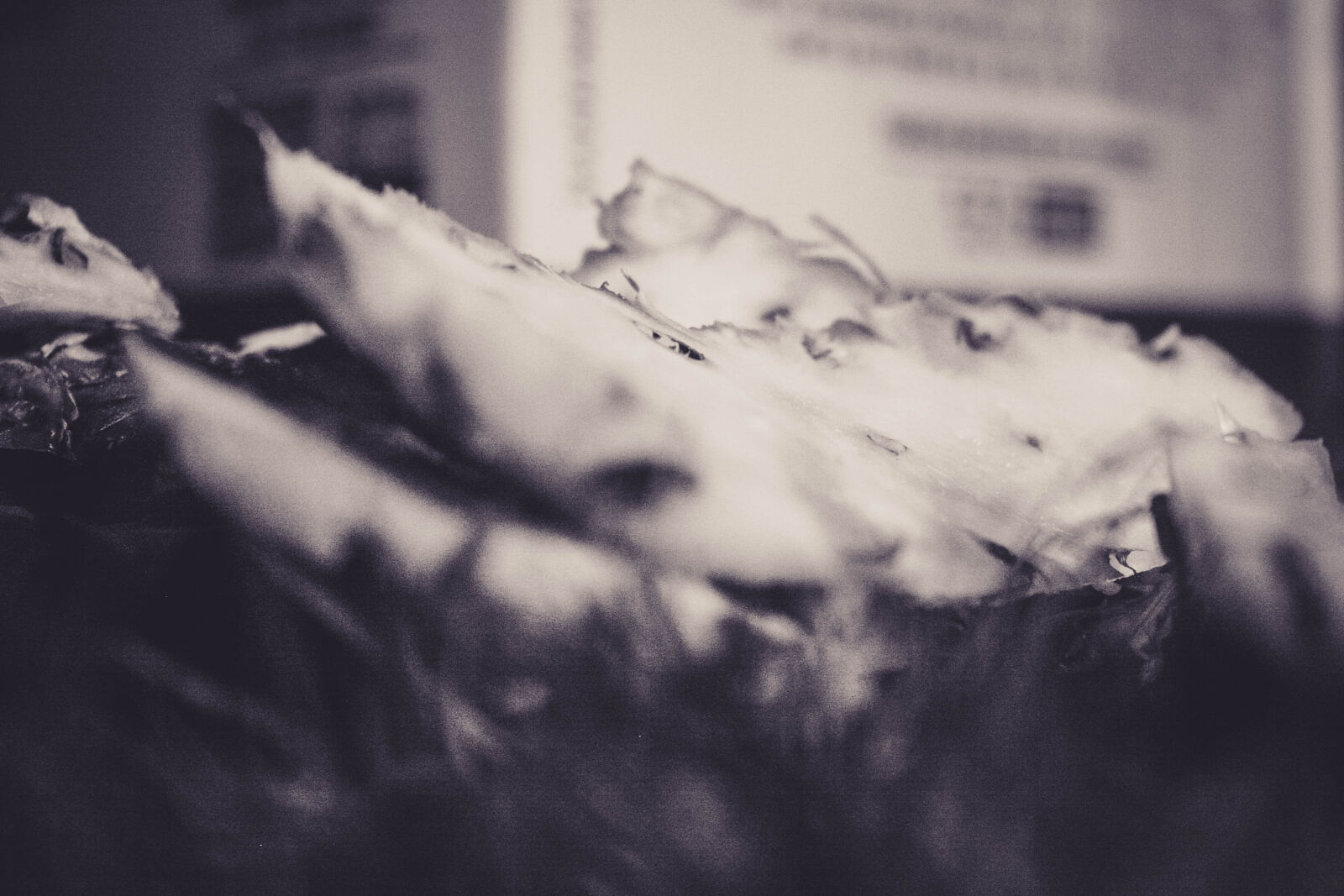 Canon EOS 20D sample photo. Compost, cut, food, scraps photography