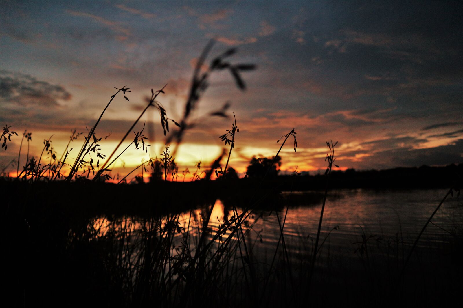Canon EOS M10 sample photo. Grass, lake, sunset photography
