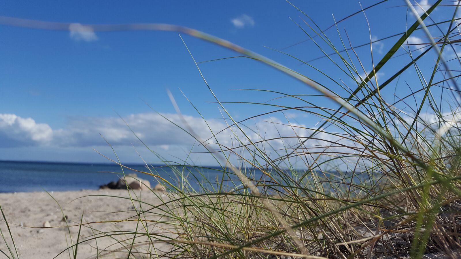 Samsung Galaxy S6 sample photo. Baltic sea, sea, beach photography