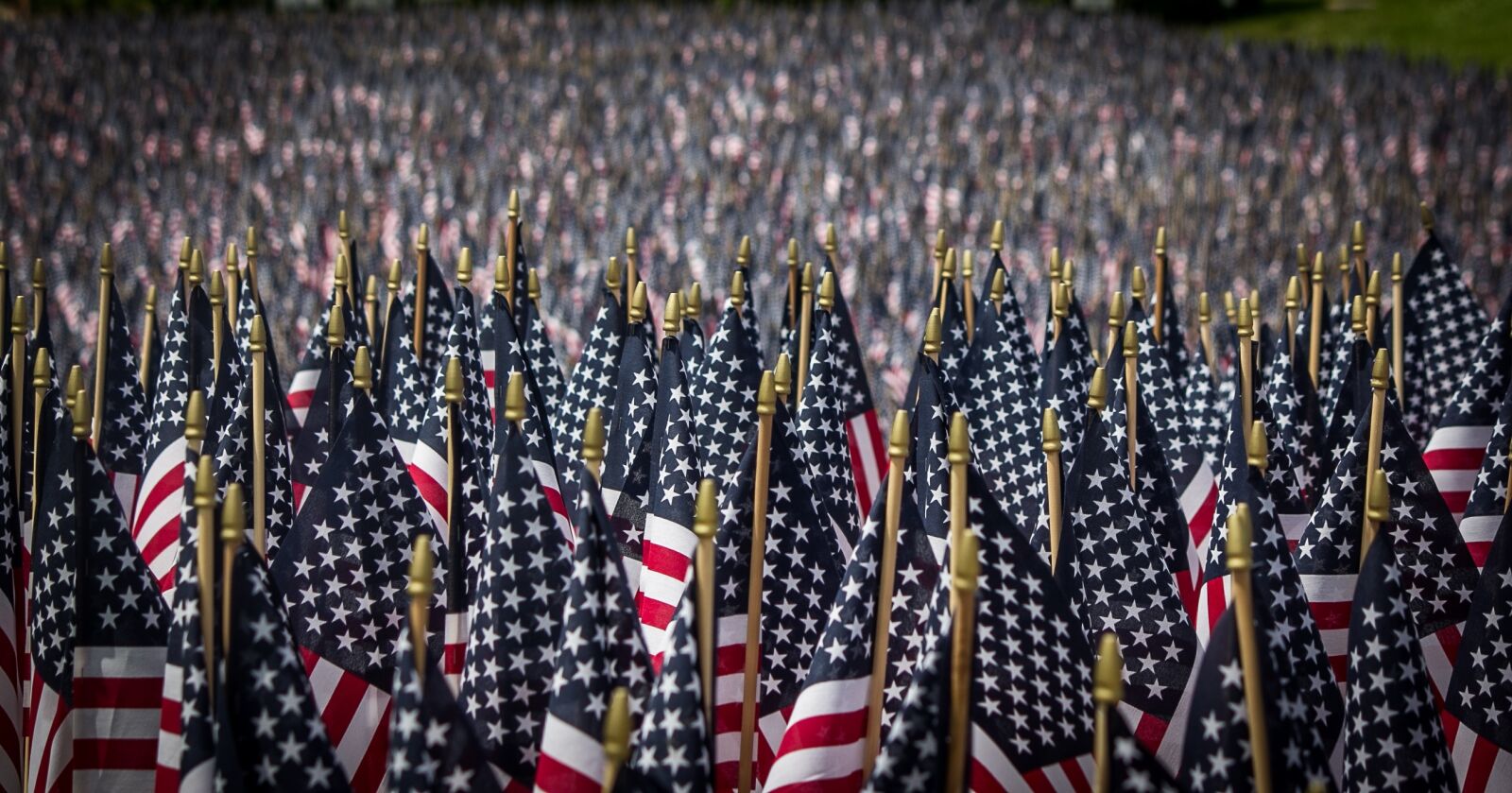 Canon EF-S 55-250mm F4-5.6 IS sample photo. American flags, memorial day photography