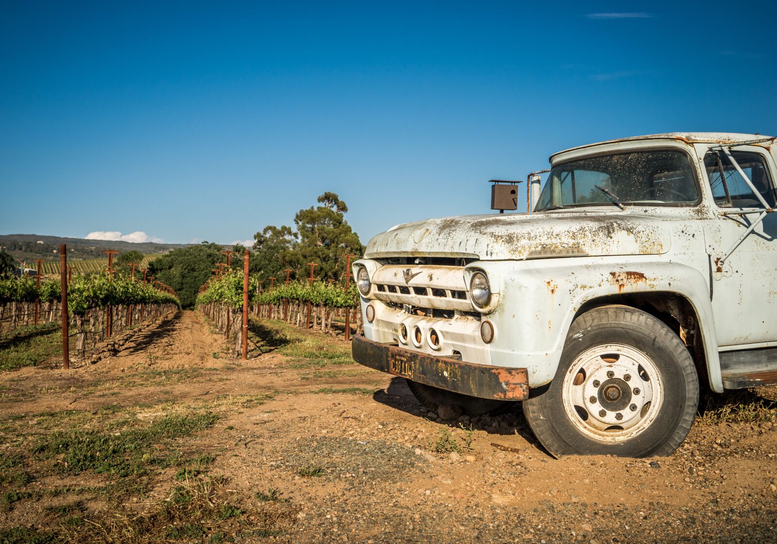 Sony a7 + Sony FE 28-70mm F3.5-5.6 OSS sample photo. Vineyard, wine, napa photography