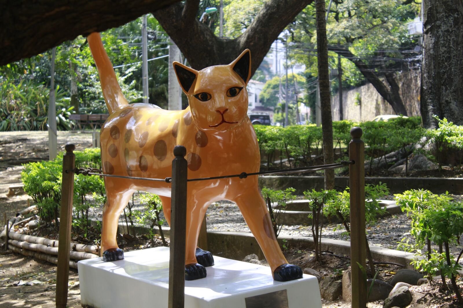 Canon EOS 1200D (EOS Rebel T5 / EOS Kiss X70 / EOS Hi) sample photo. Cat, cali, colombia photography