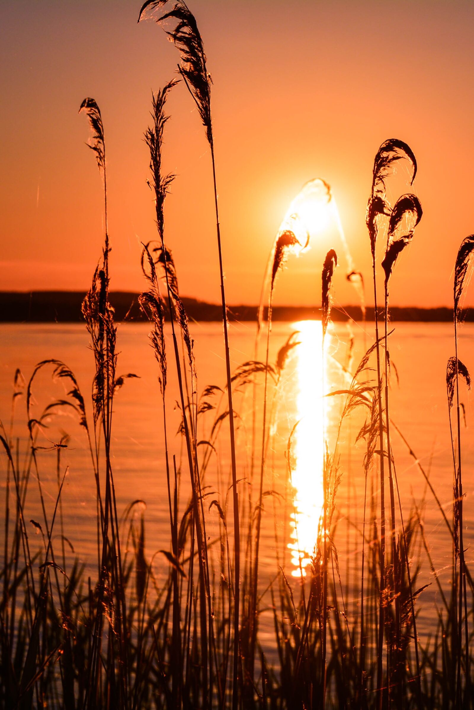 Nikon D5200 sample photo. Relax, water, lake photography