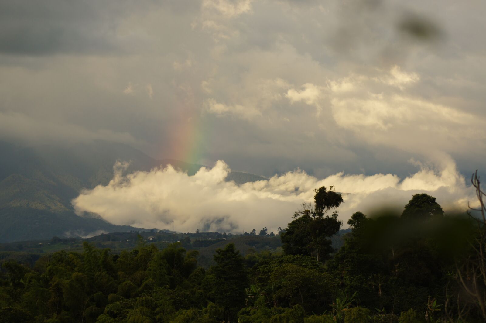 Sony SLT-A55 (SLT-A55V) sample photo. Sunsets, landscapes, quindio photography