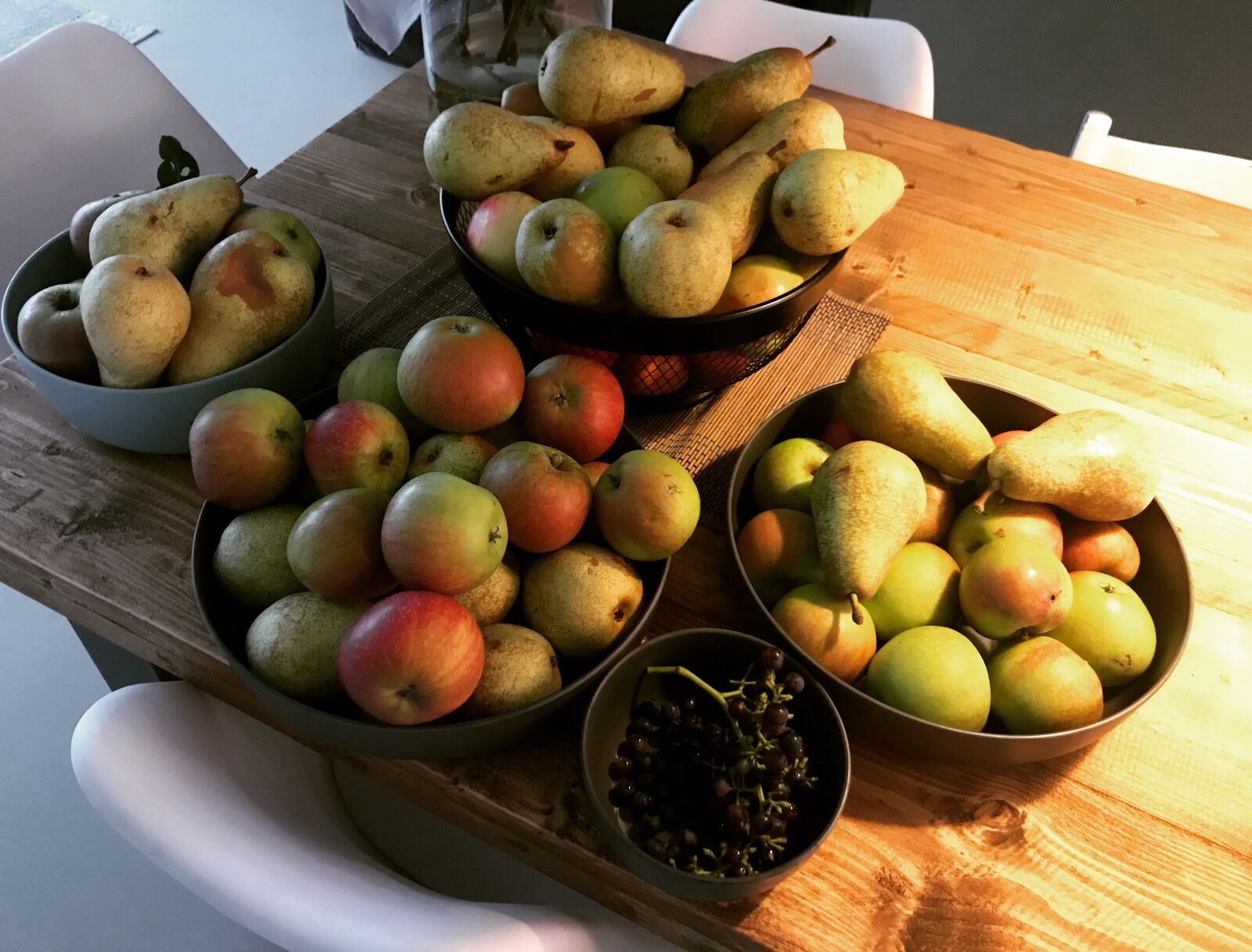 iPhone 7 back camera 3.99mm f/1.8 sample photo. Autumn, apples, harvest photography