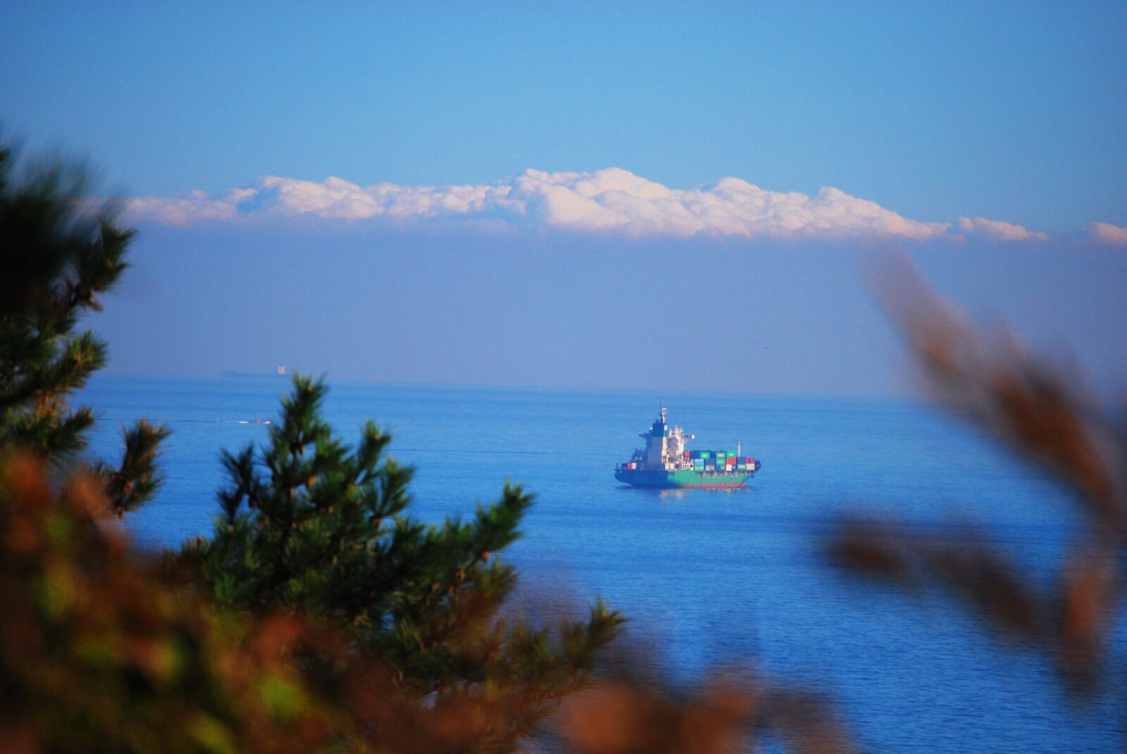 Nikon D60 sample photo. Times, sea, port photography