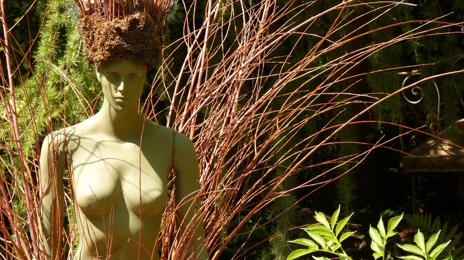 Panasonic Lumix DMC-FZ35 (Lumix DMC-FZ38) sample photo. Garden, woman, nu photography