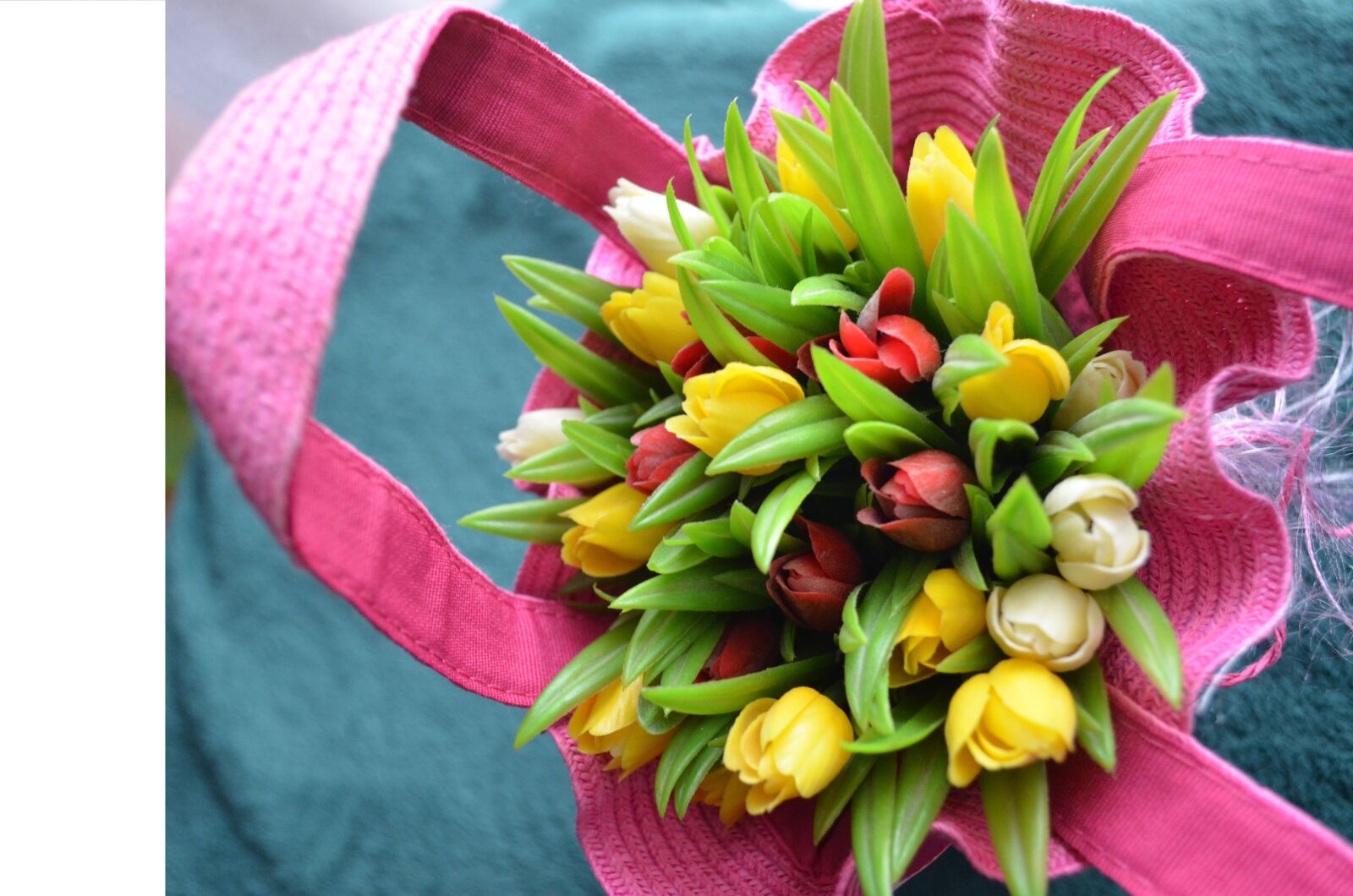 Nikon D5100 sample photo. Tulip, spring, bouquet photography