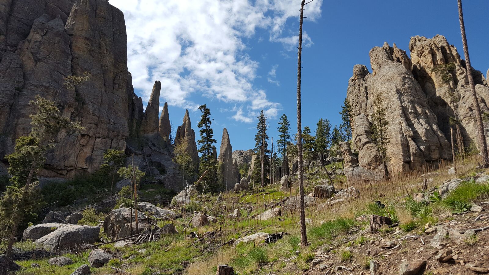 Samsung Galaxy S6 sample photo. Needles, custer state park photography