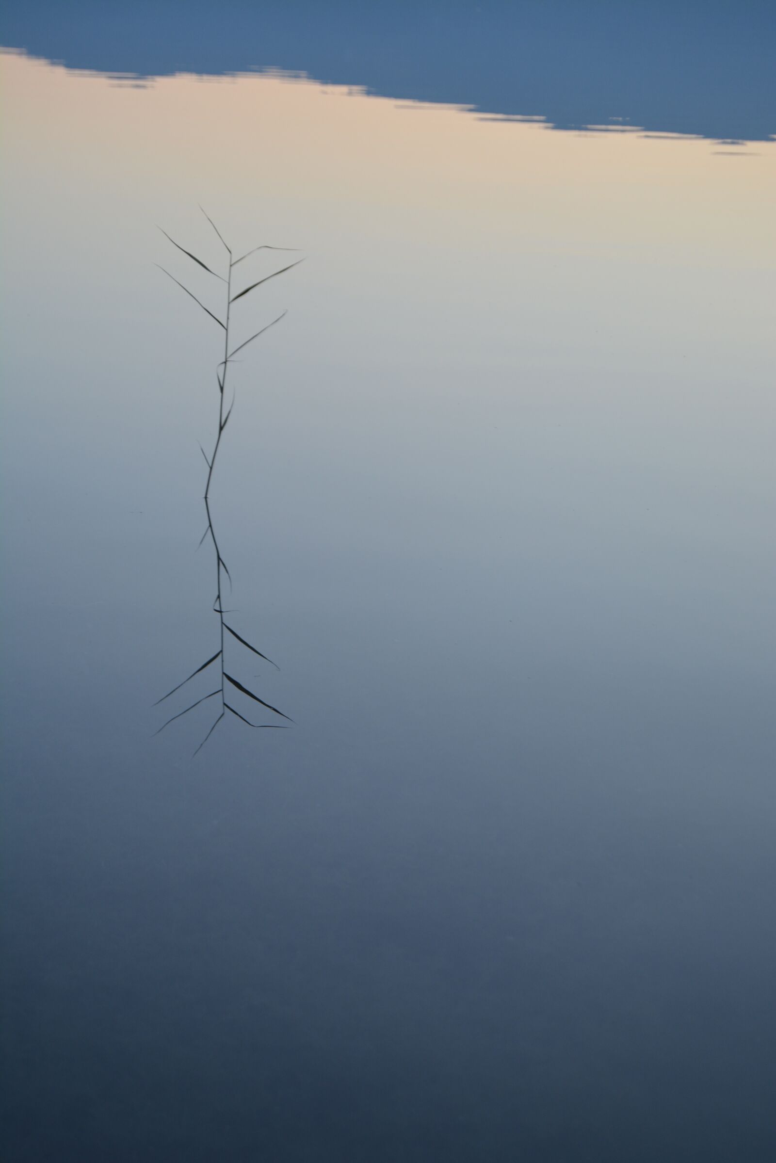 Nikon D5200 sample photo. Water, lake, nature photography