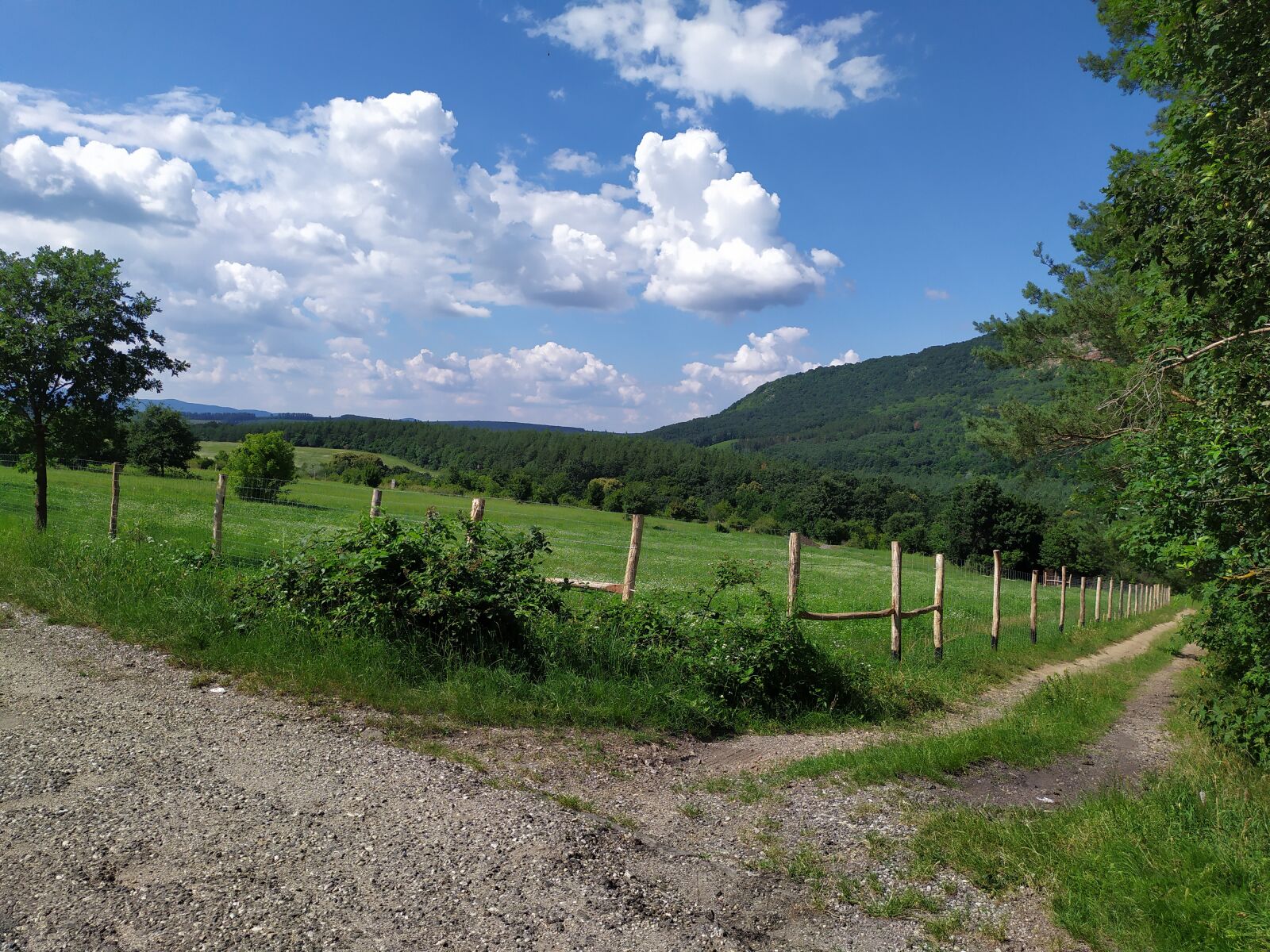 Xiaomi Redmi Note 7 sample photo. Naszály-hill, mountain, nature photography