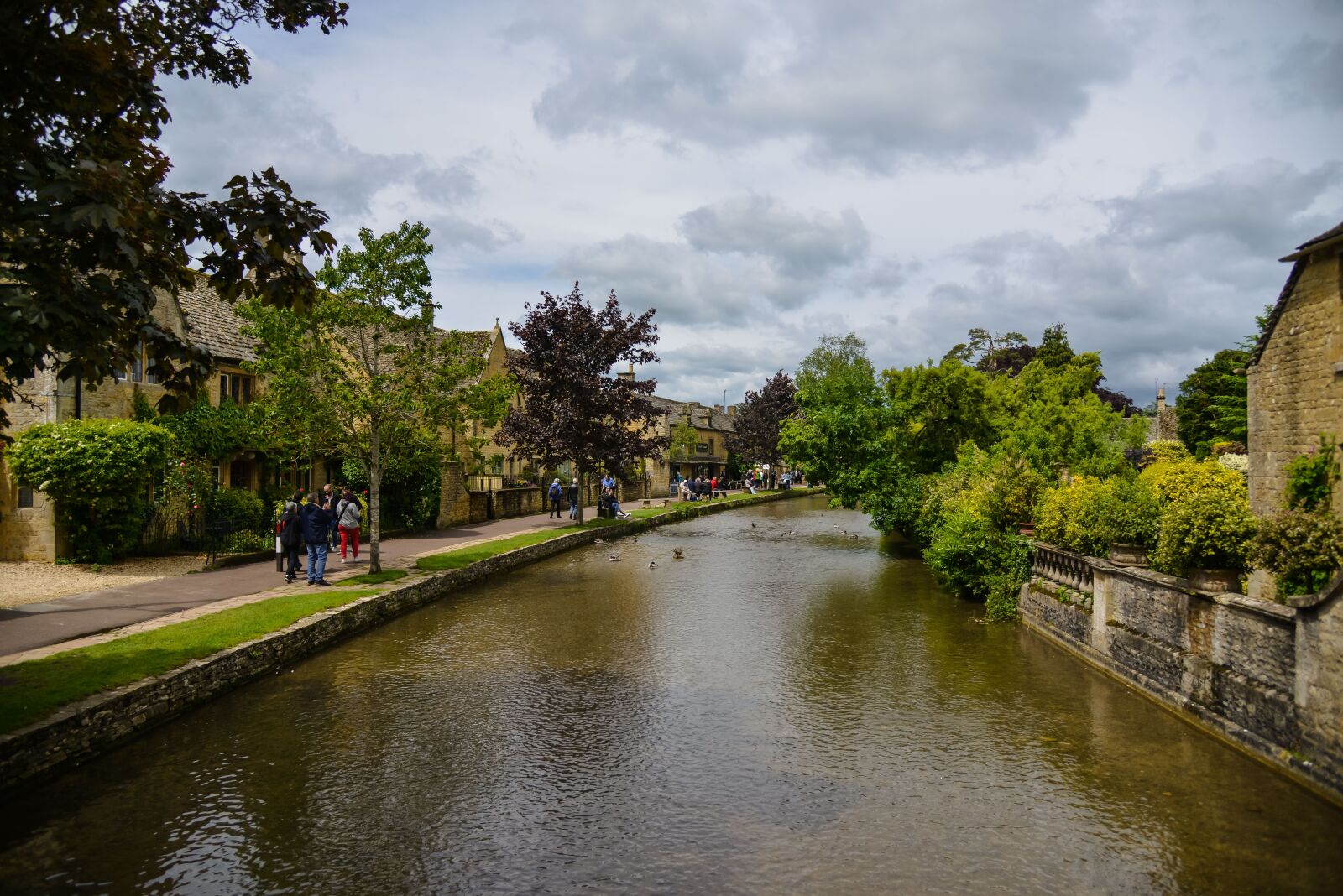 Nikon D800 sample photo. River, landscape, nature photography