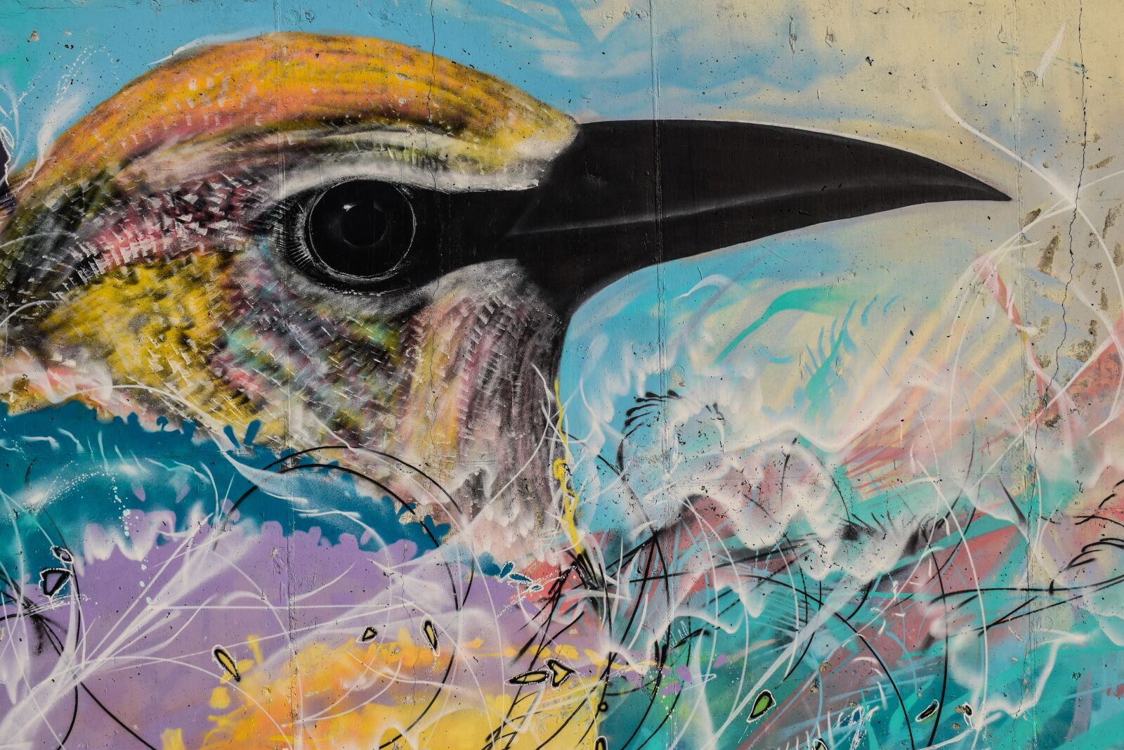 Nikon D3300 sample photo. Graffiti, colorful, graffiti wall photography