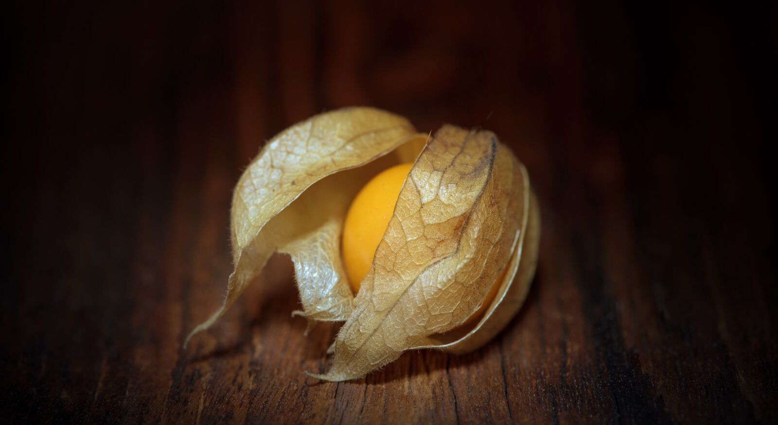Nikon D750 sample photo. Physalis, physalis peruviana, cape photography