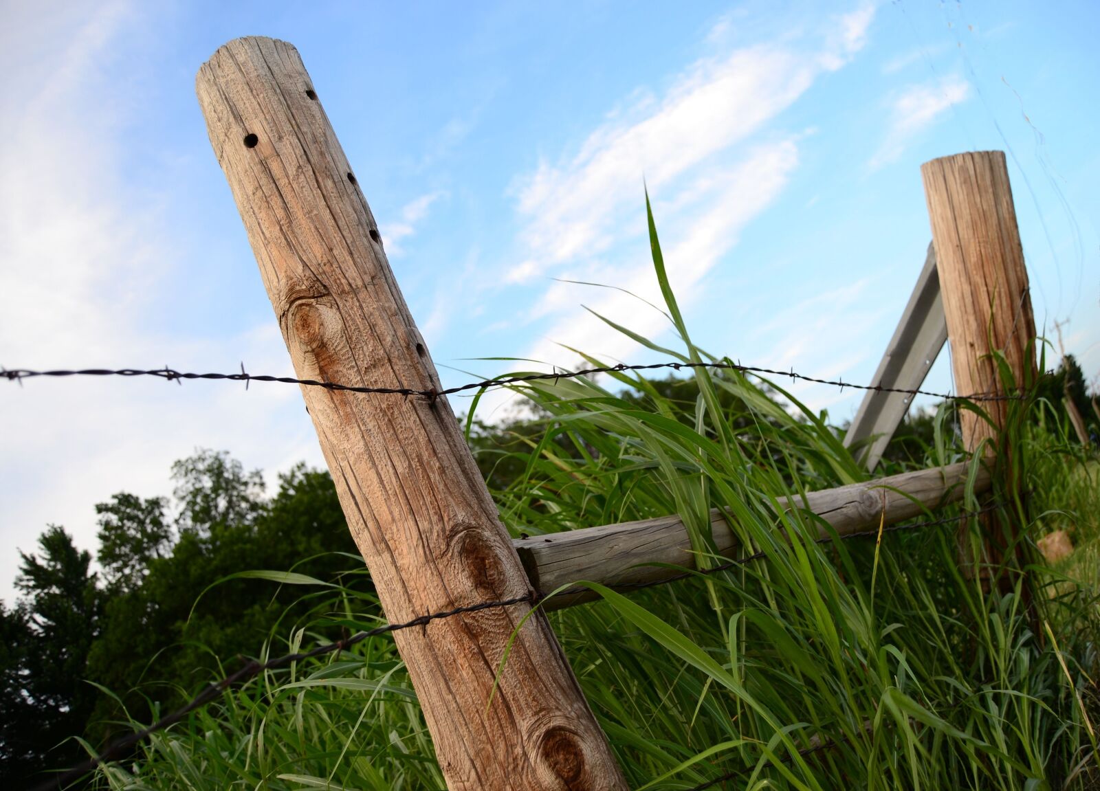 Nikon D3100 sample photo. Fence post, barb wire photography
