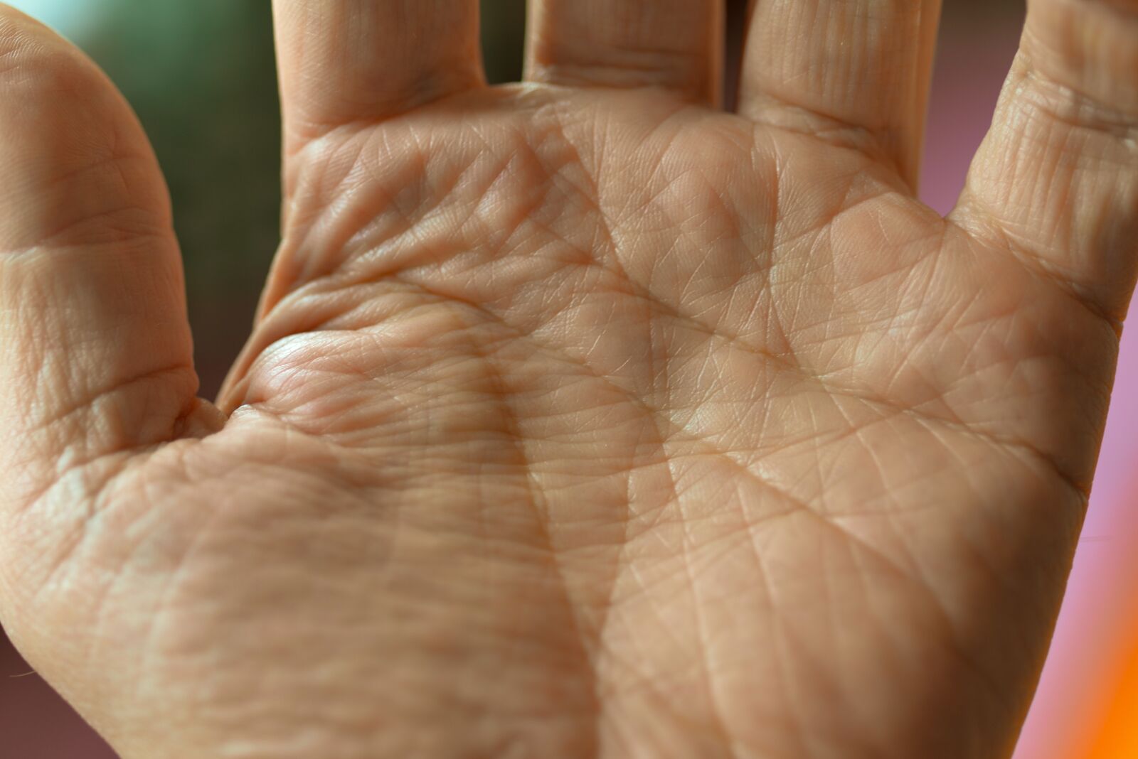 Nikon D610 sample photo. Palm, life line, hand photography