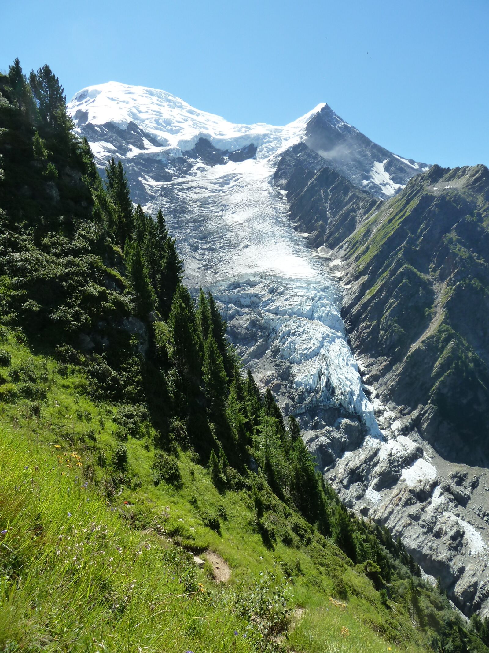 Panasonic Lumix DMC-ZS7 (Lumix DMC-TZ10) sample photo. Glacier, contrast, green photography