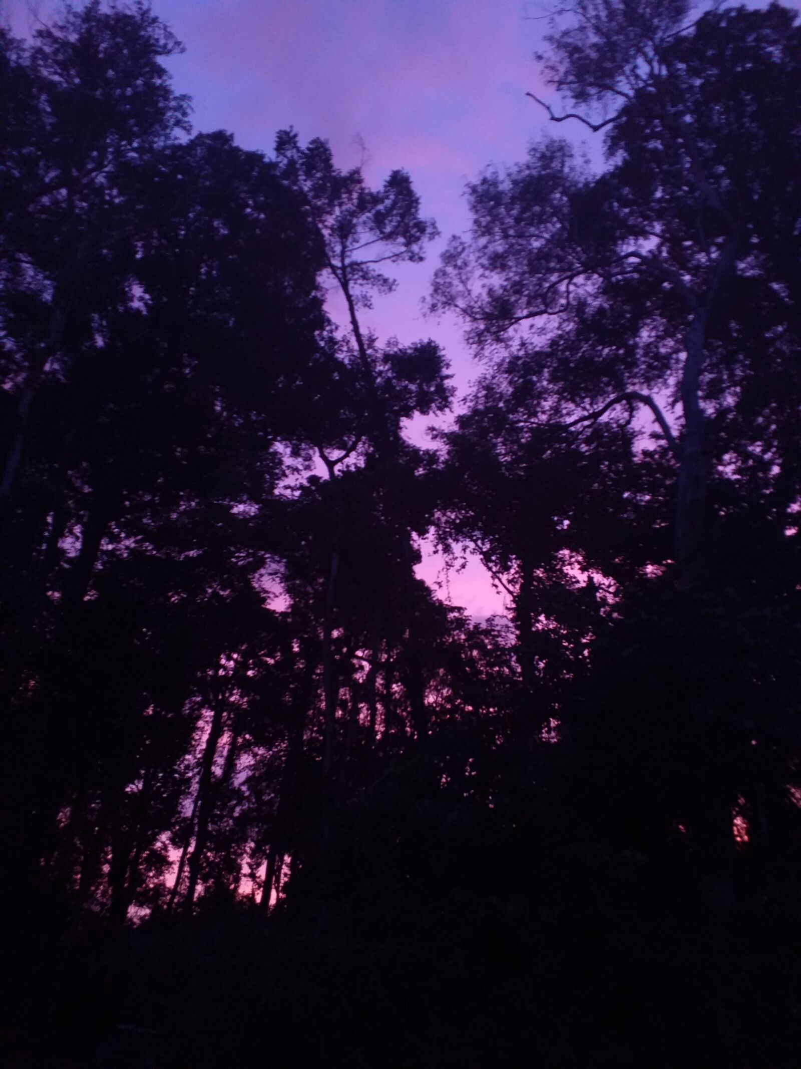 Samsung Galaxy J6+ sample photo. Atardecer, cielo, trees photography