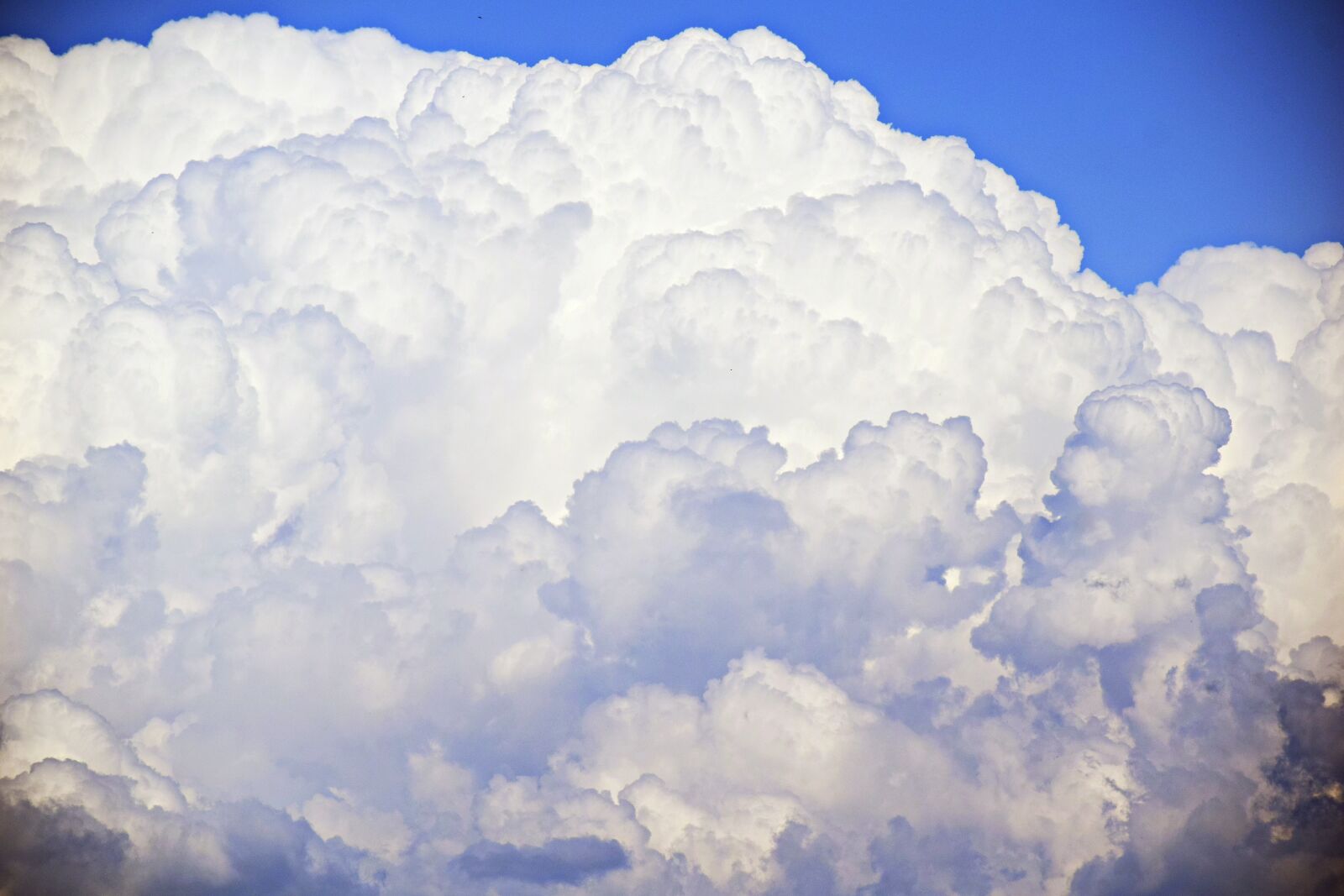 Nikon D3300 sample photo. Nature, outdoor, sky photography