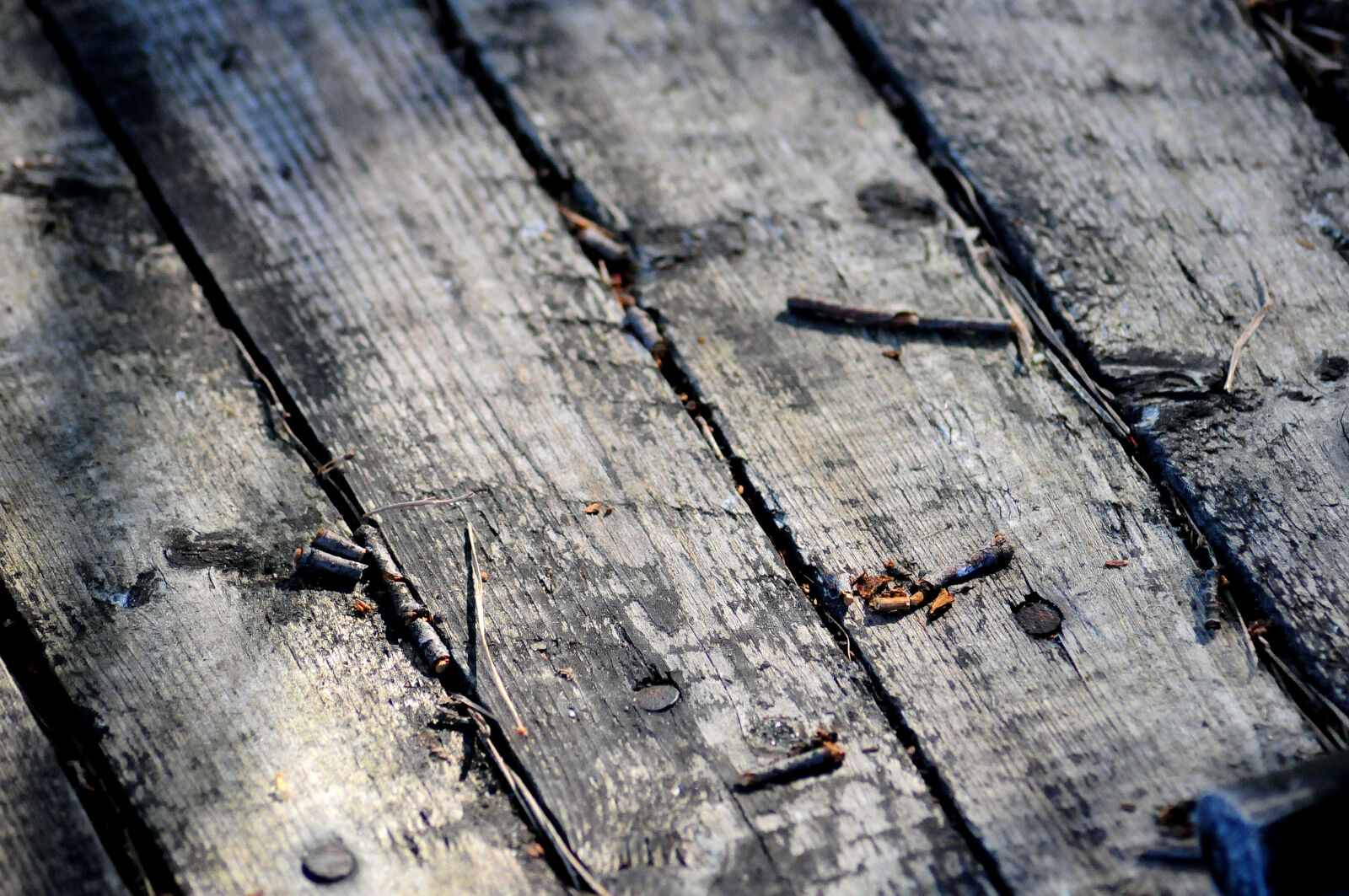 Nikon D300S sample photo. Wood photography